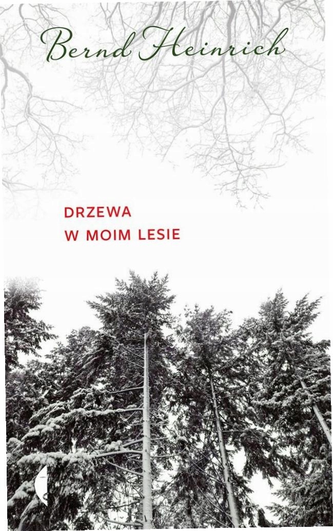 Drzewa w moim lesie-Zdjęcie-0