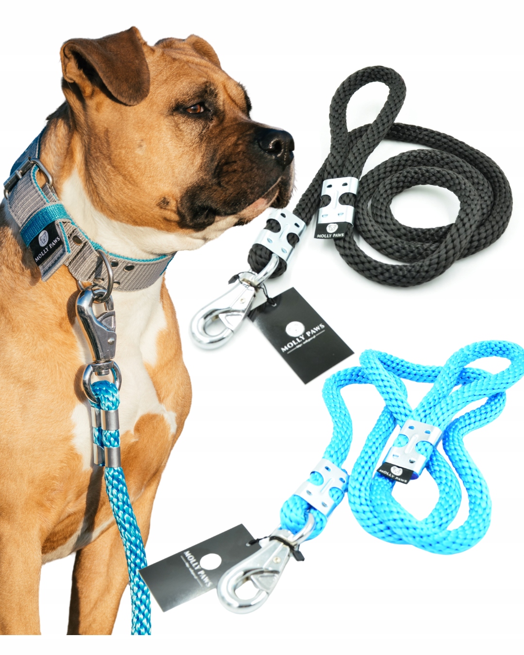 Levně Vodítko pro psa z lana o délce 240 cm K dispozici jsou 4 barvy Fialové