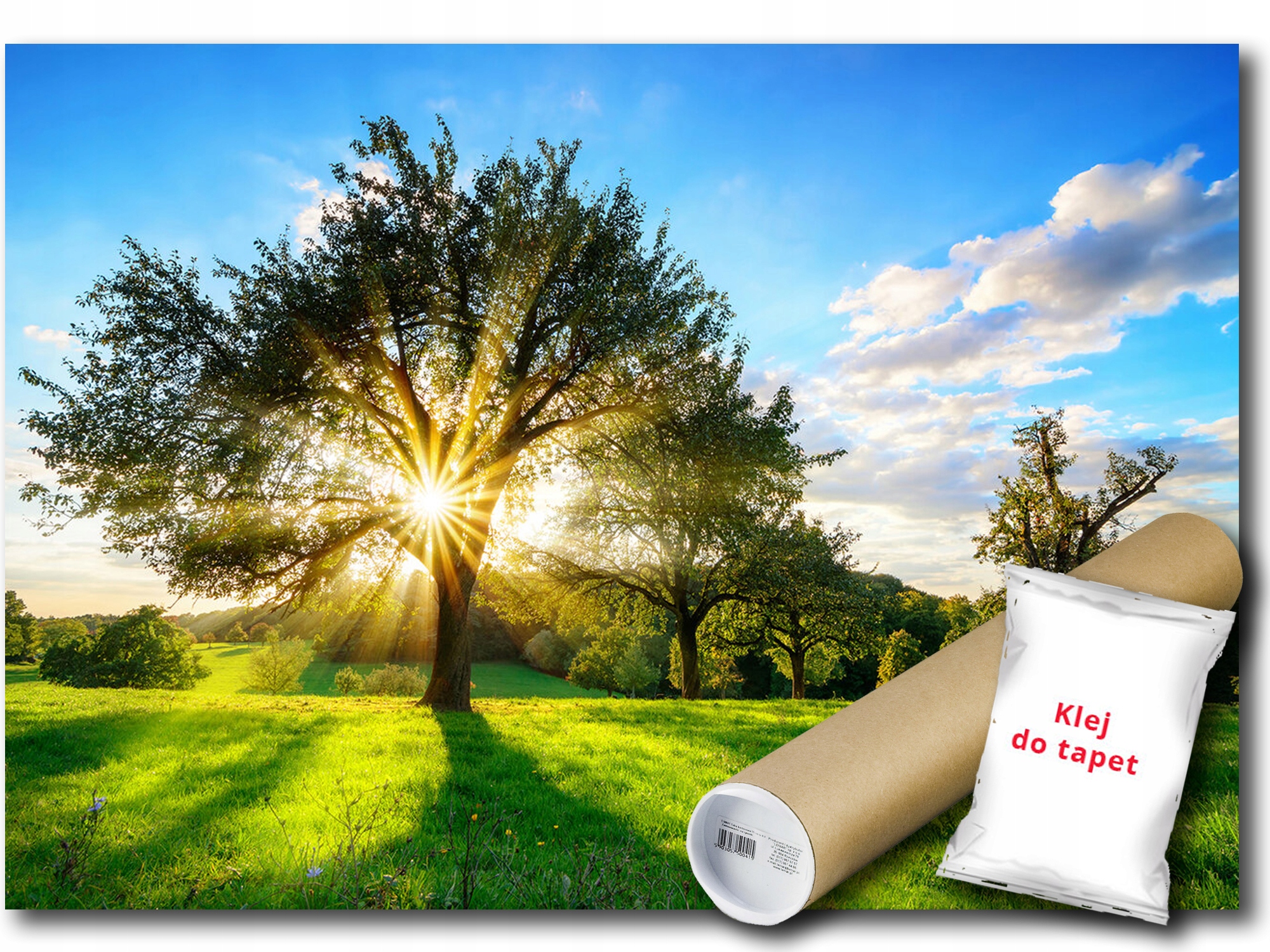 Vinylová Fototapeta Pohľad Krajina Strom Slnko Príroda 312x219