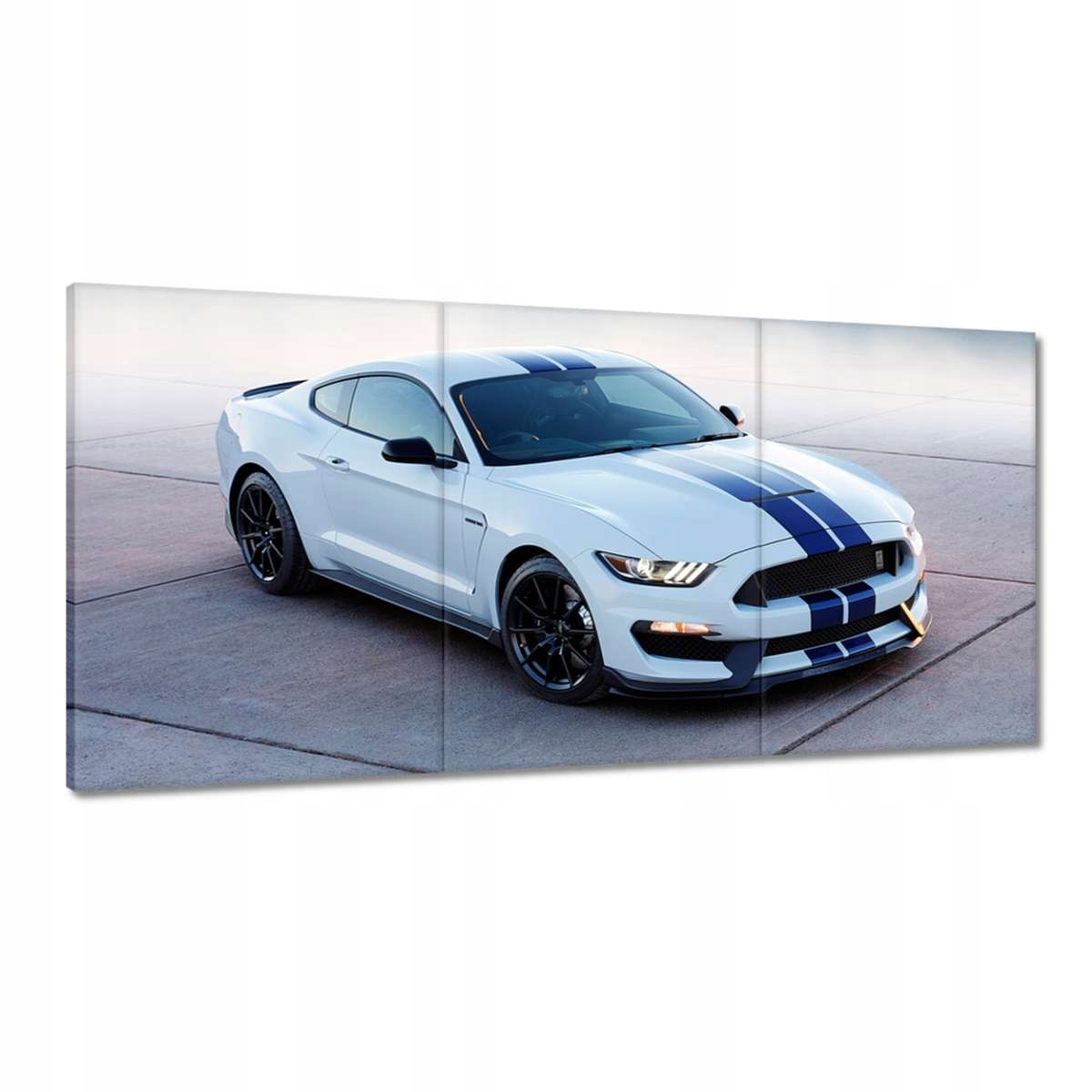 Obrazy 180x90 Mustang Shelby Ford Usa