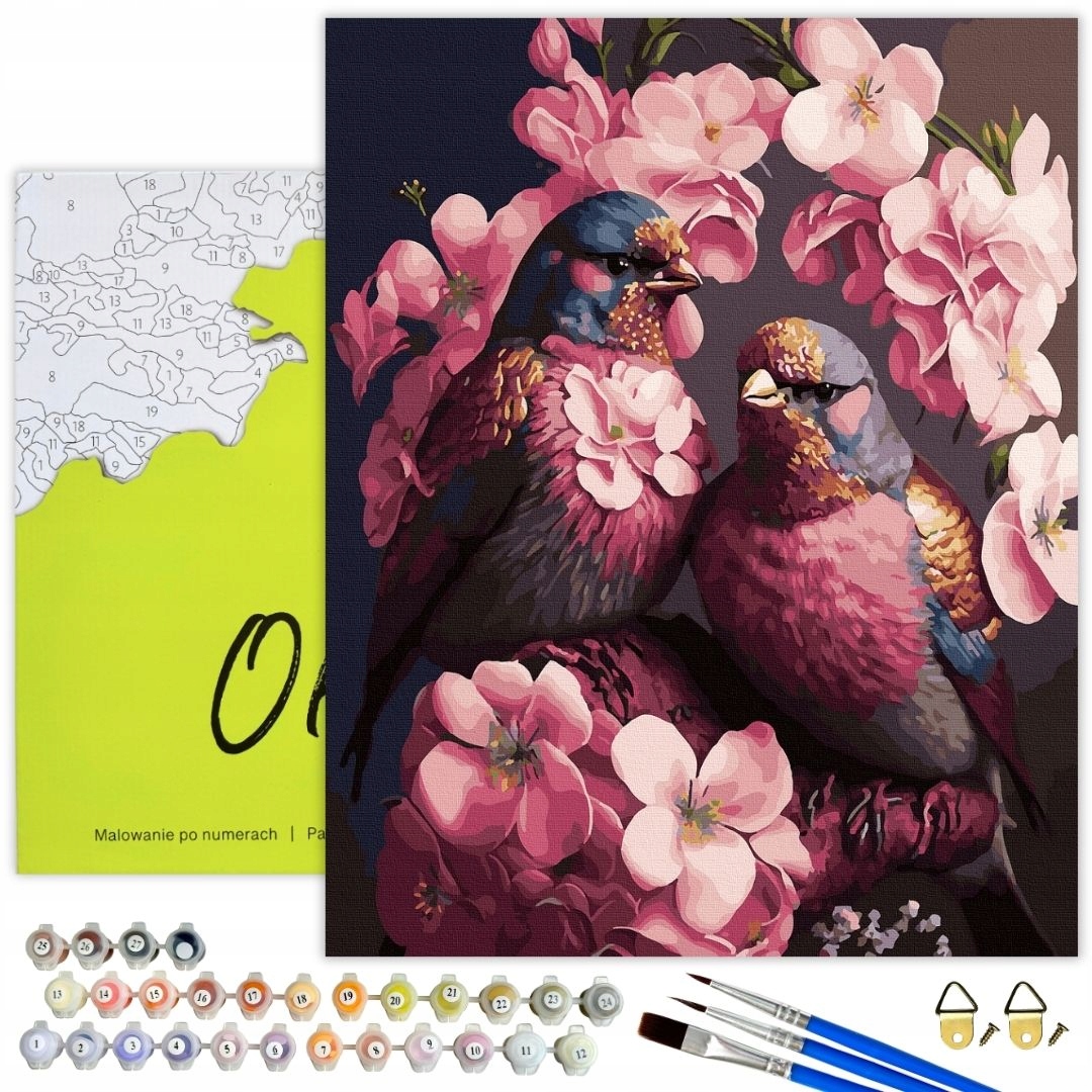 Malování Podle Čísel Kreativní obrázky pro malování podle čísel s Rámem