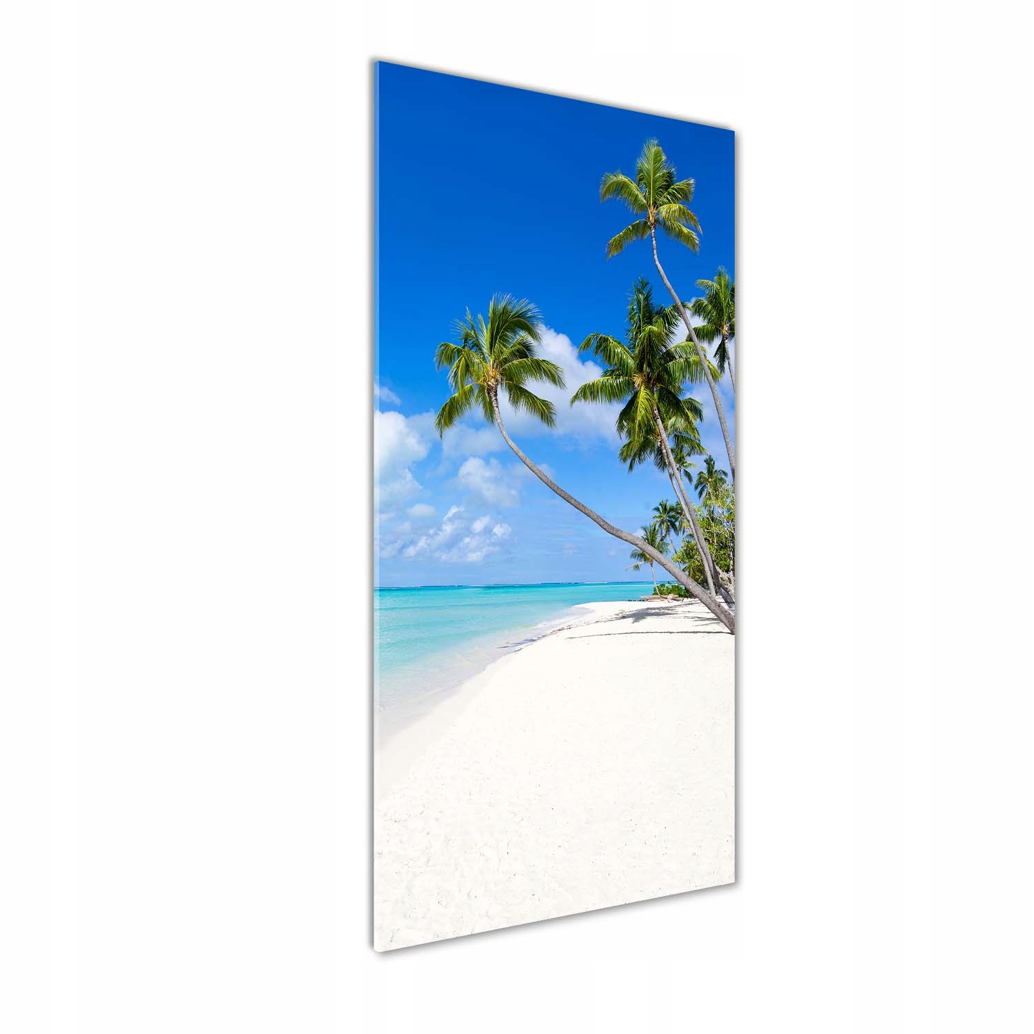 

Foto obraz szkło akrylowe Tropikalna plaża 50x125