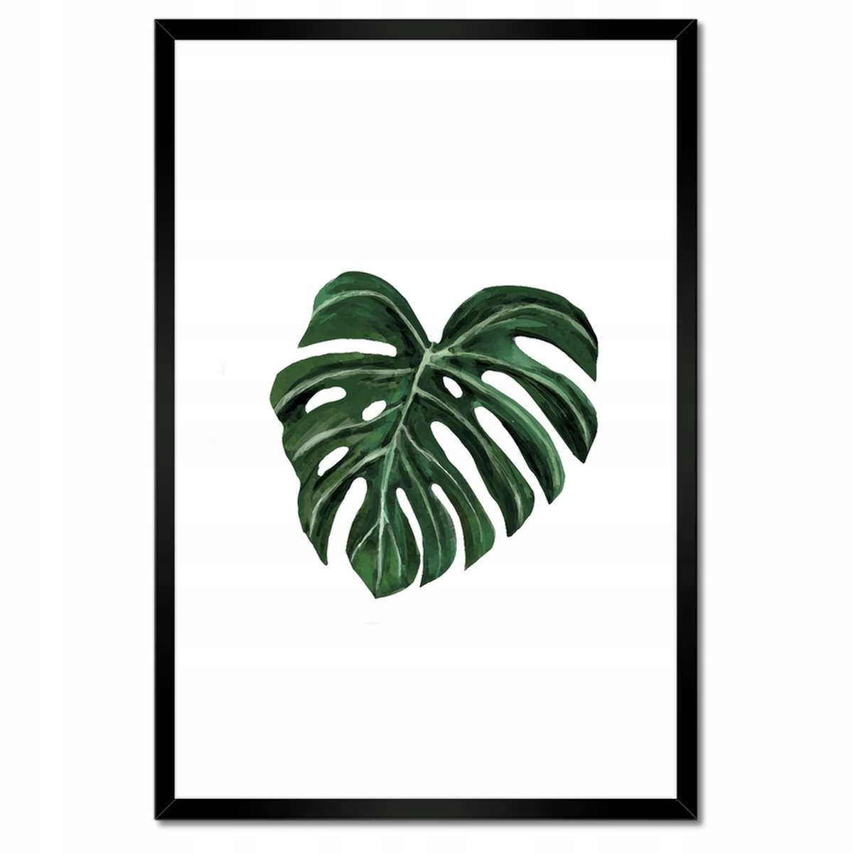 Plakáty v rámu 40x60 Monstera deliciosa List