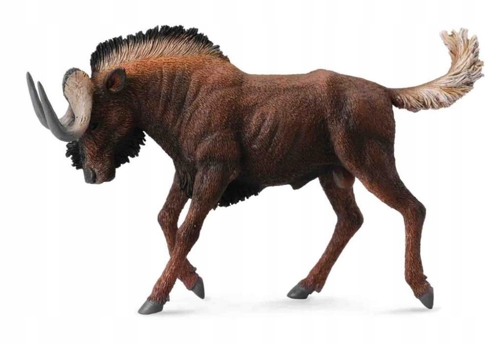 

Gnu Białoogonowe
