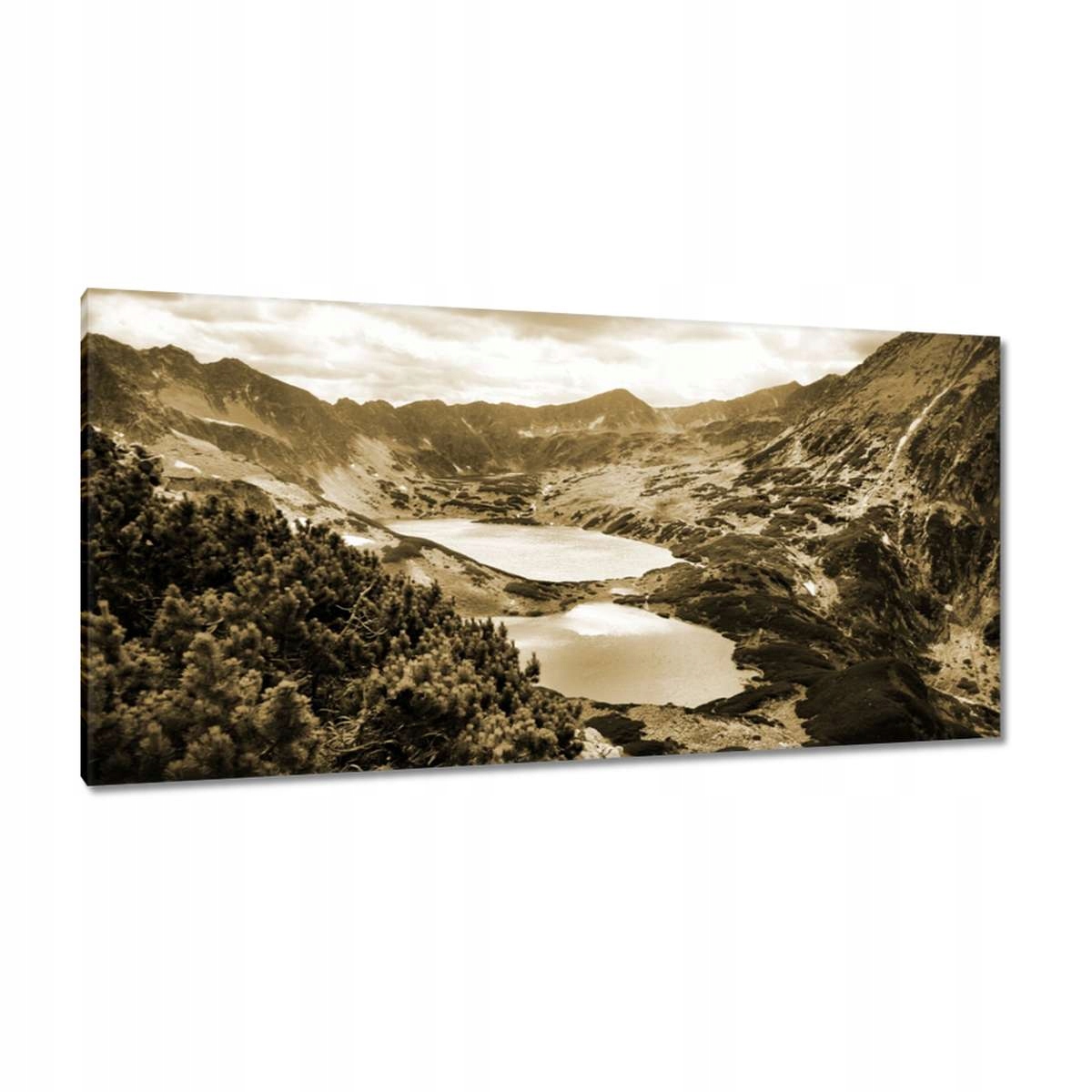 Obrazy 115x55 Tatry Polské hory Pohled