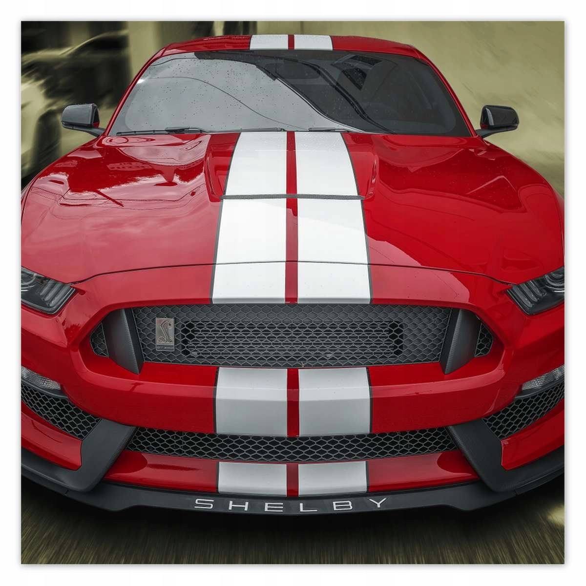 Plakáty 140x140 GT350 Ford Mustang Shelby