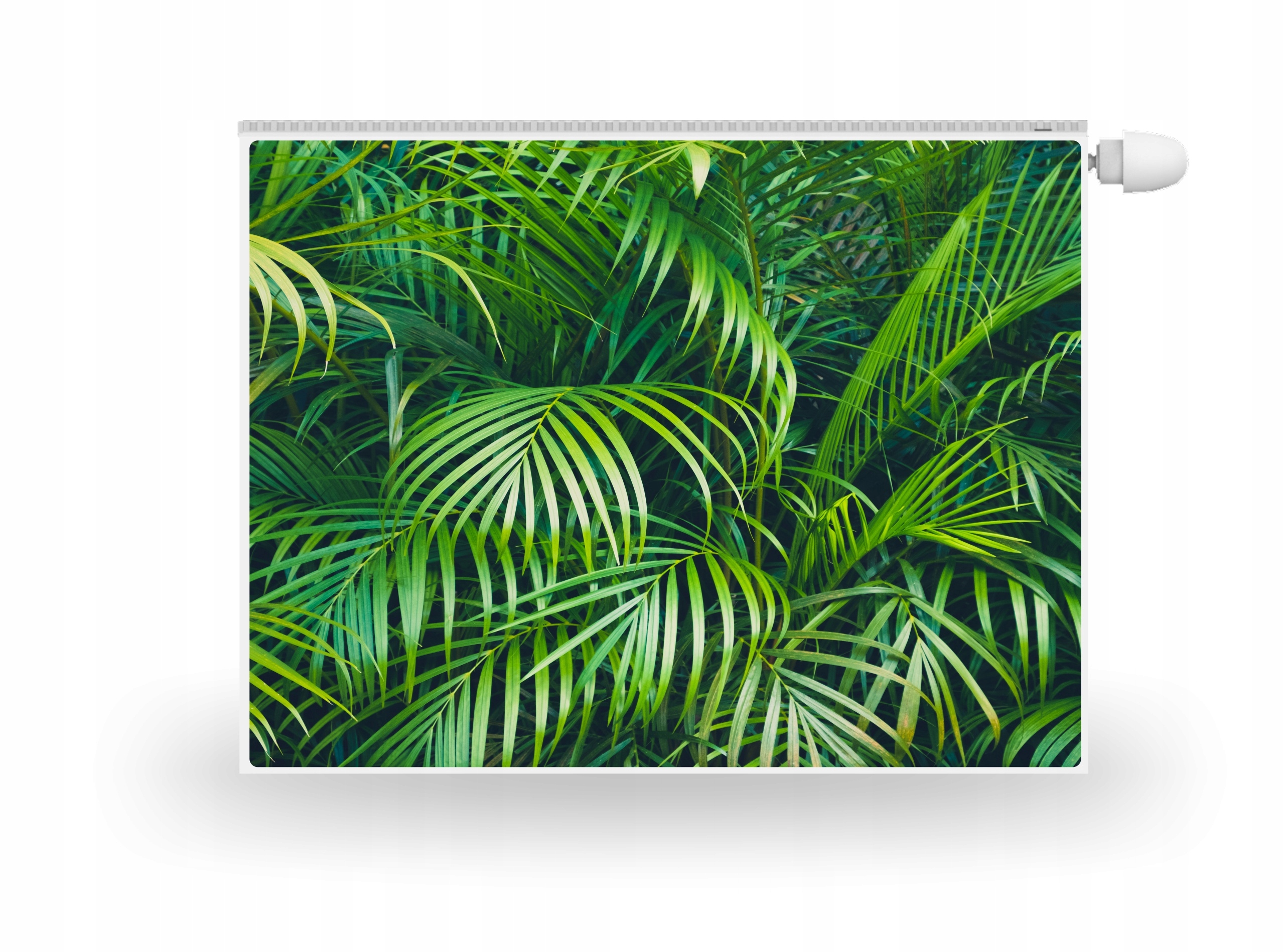 

Magnes Mata Magnet Na Kaloryfer liście palmy