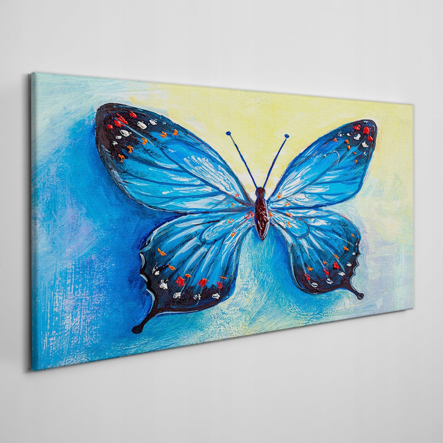 

Obraz na płótnie do salonu Owad robak motyl 100x50