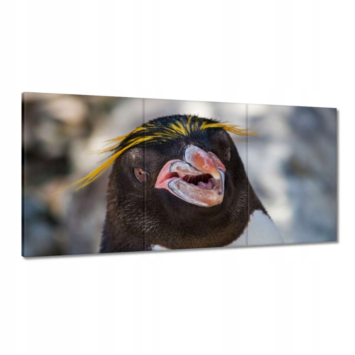 Obrazy 180x90 Zvieratá Zvieratká