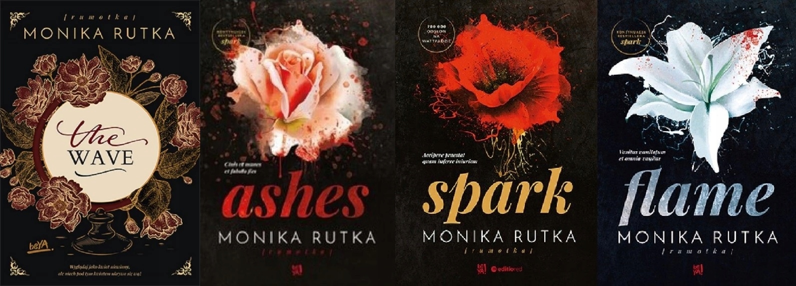 The Wave Ashes Spark Flame Monika Rutka
