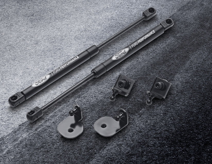 HXJR3J-16A931-AA - АМОРТИЗАТОРИ КАПОТА FORD MUSTANG 2015-OE