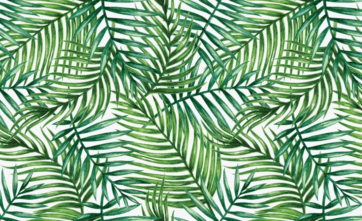 

Fototapeta Flizelina Liście palmy 416x254