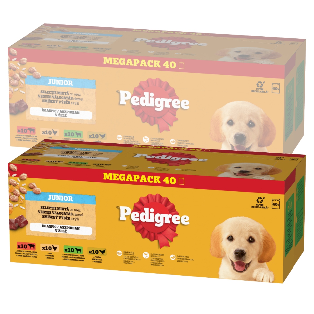 Pedigree Junior Výběr příchutí 80x100g Vlhké Krmivo pro štěňata v želé