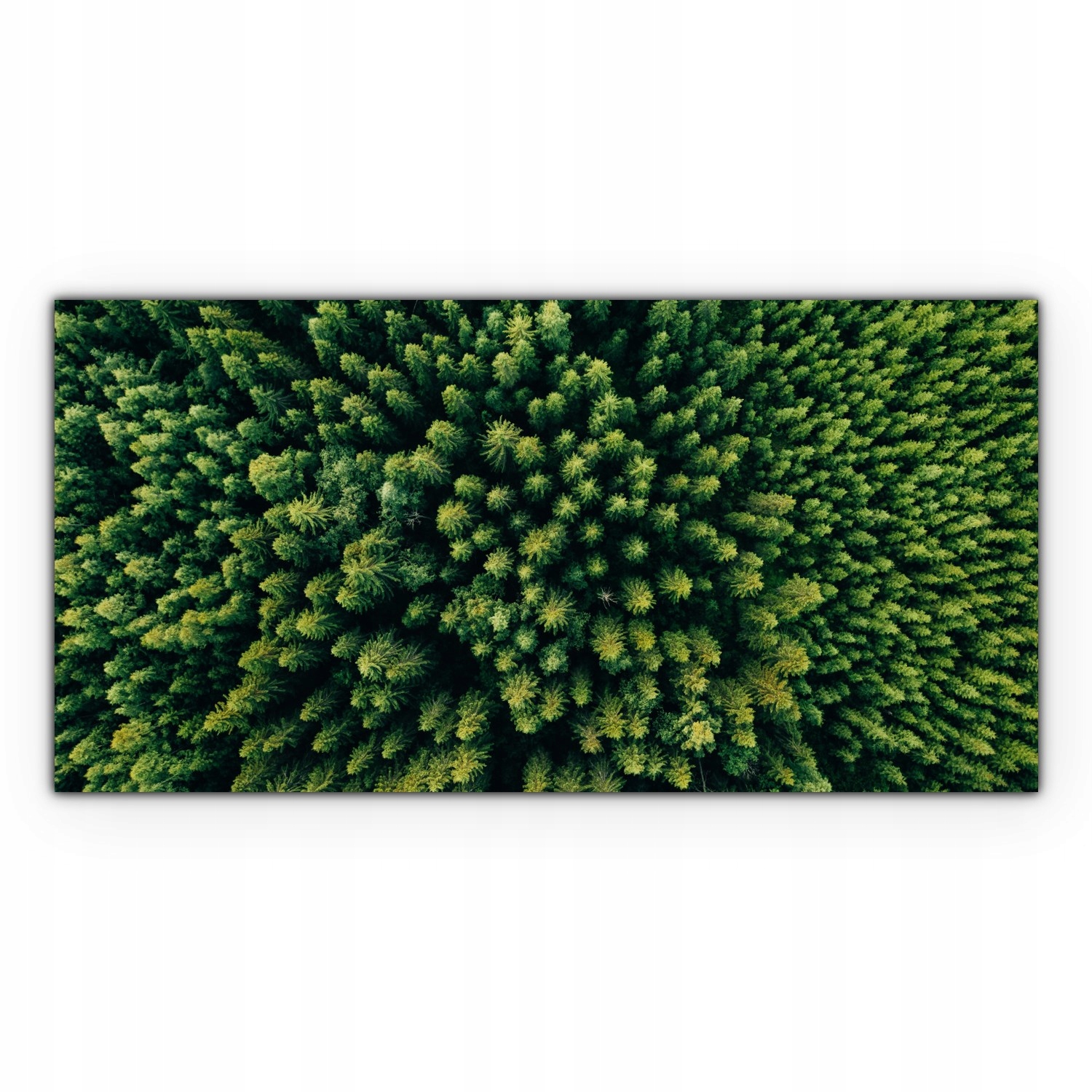 

Canvas płótno do sypialni 140x70 Drzewa Las Natura