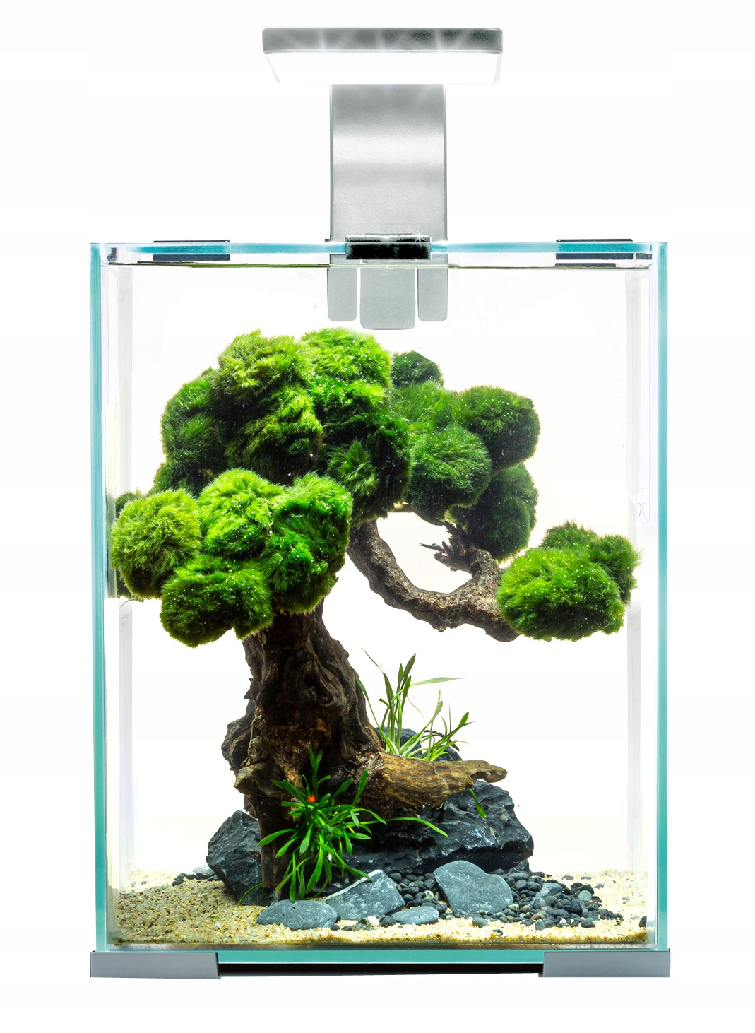 

Aquael Shrimp Set 20 Biały Day&night 25X25X30