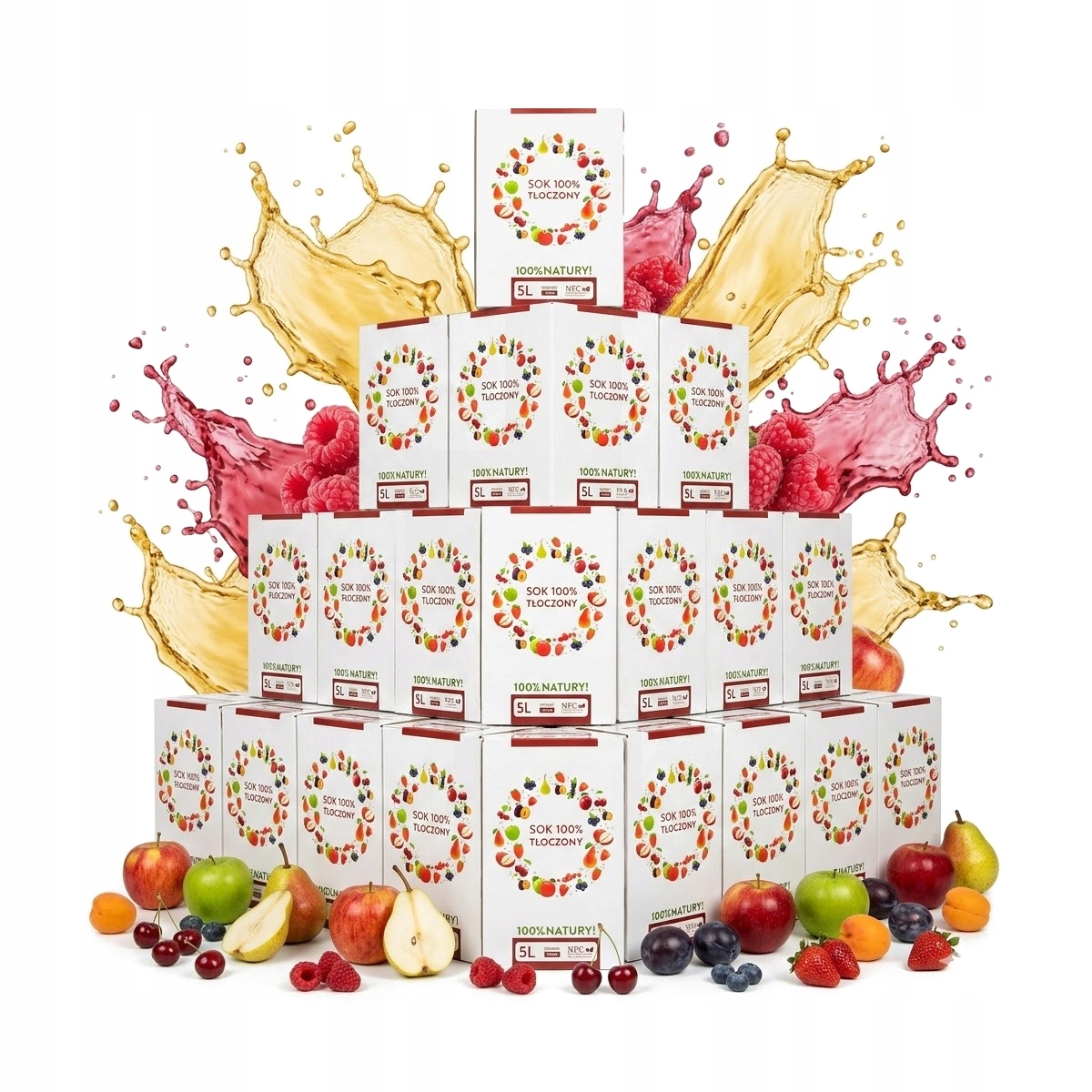 25 x Karton Na Šťávu Univerzální 100% Lisovaný 5L Kartonové Balení Na Šťávy