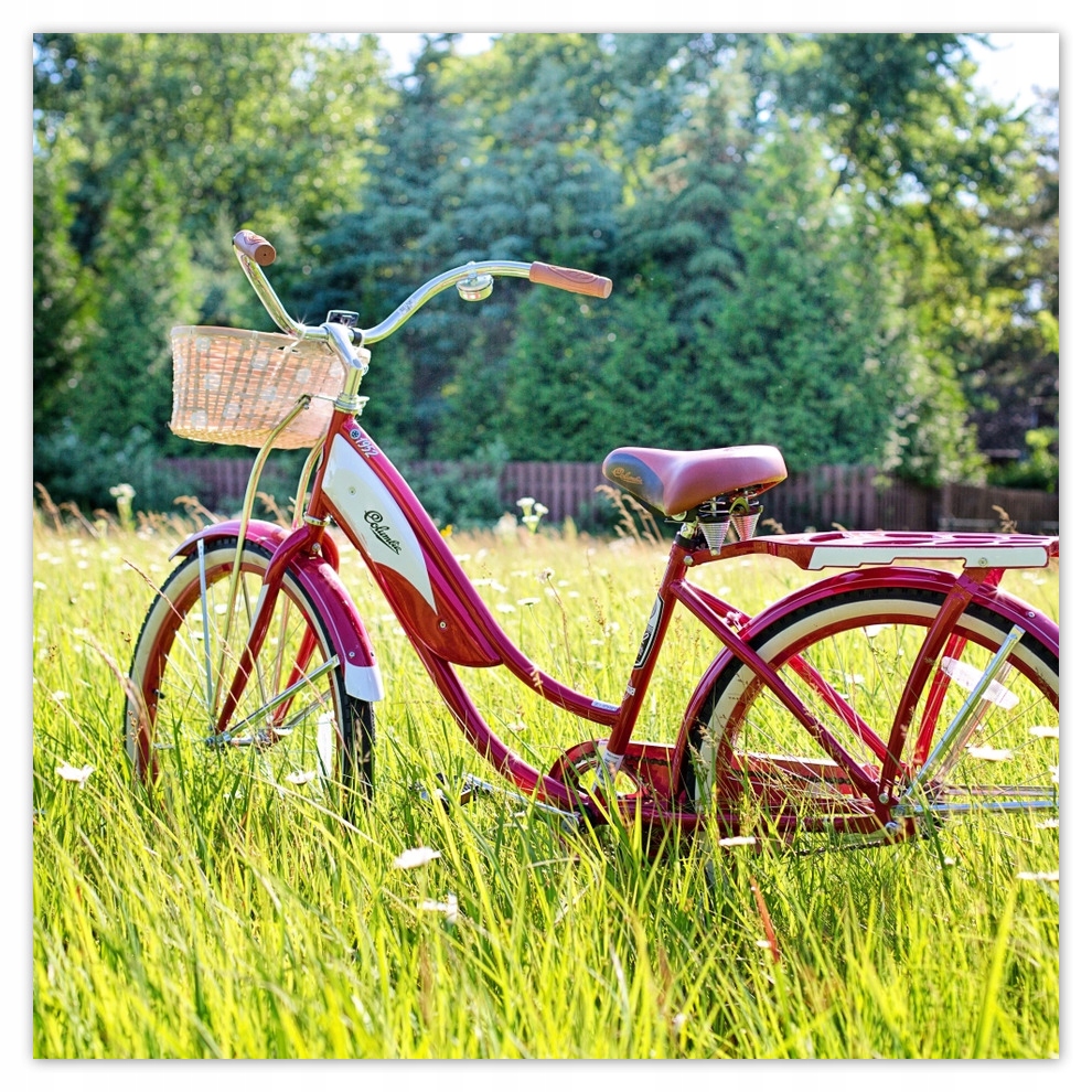 

Fototapety flizelina 208x208 Rowery Rowerki