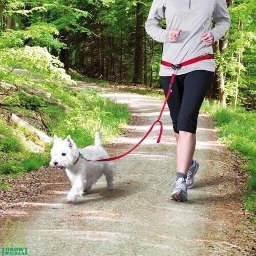 Levně Trixie Bederní pás vodítko psí sada na běhání joggingu psem M