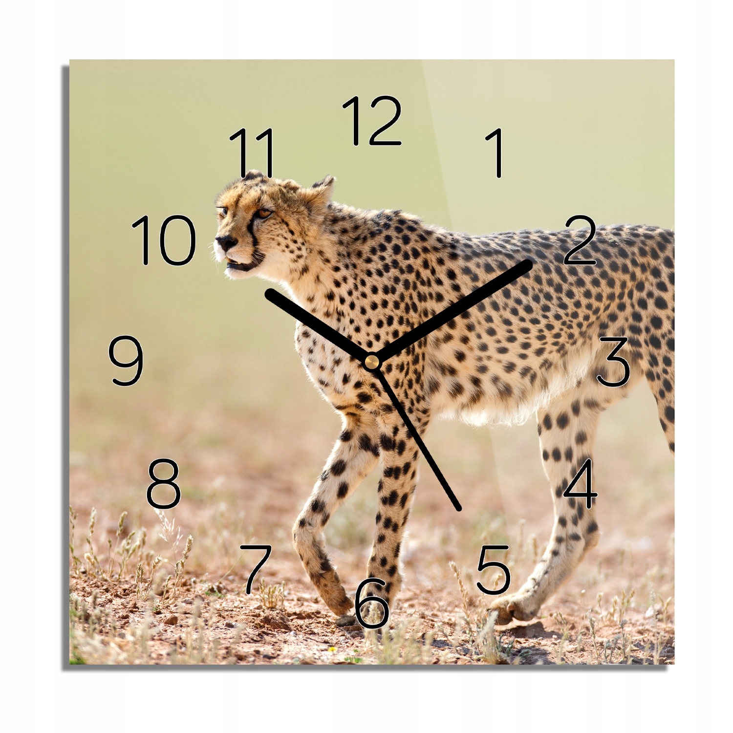 

Gepard na trawie zegar na szkle do sypialni 30x30