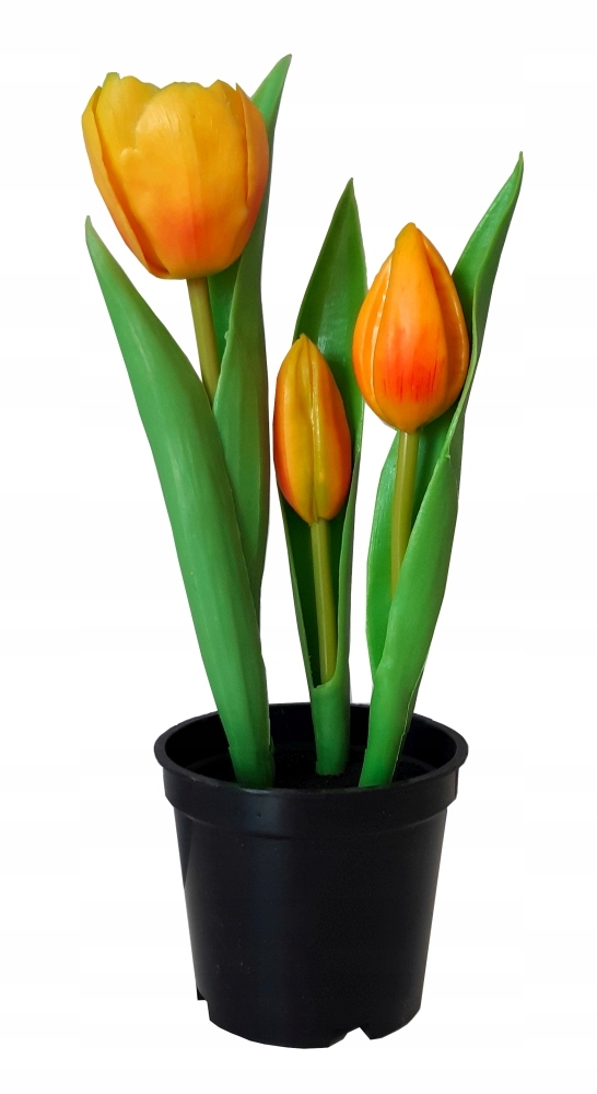 

Tulipan Tulipany Silikonowe w osłonce Pomarańczowe