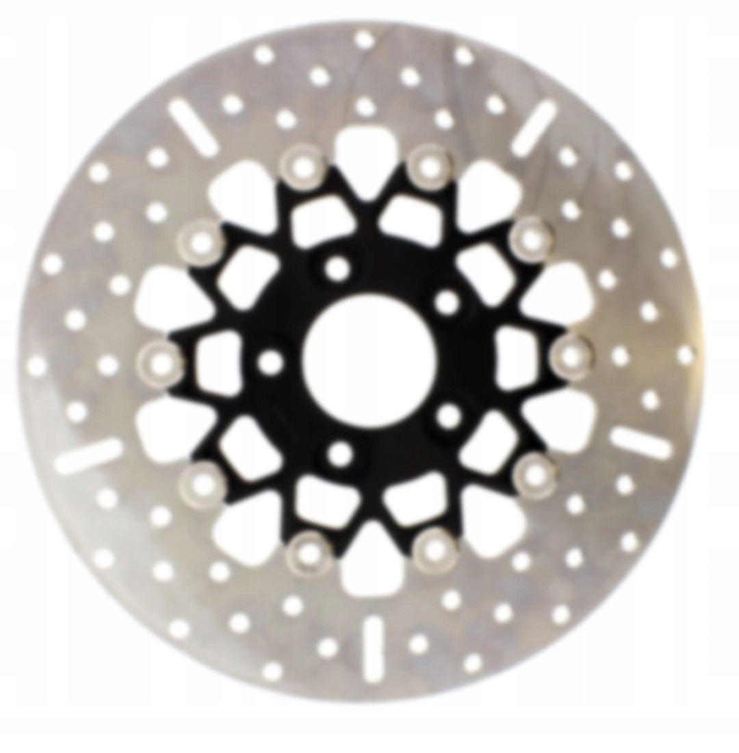 Brzdová Kotúčka Zadná Harley Davidson Xlh 883 Sportster Standard