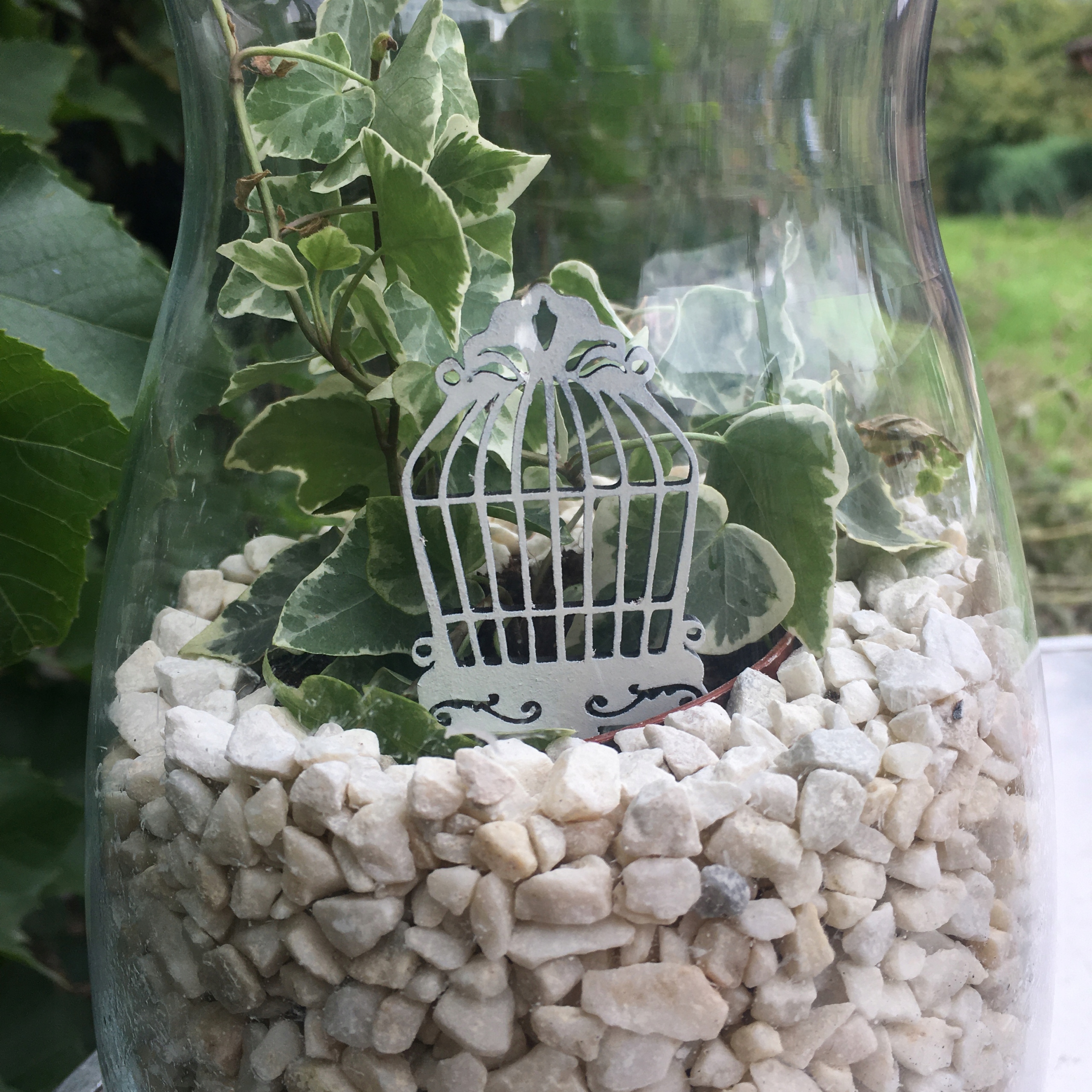 PIK PIKA KLATKA DLA PTAKA LAS W SŁOIKU 12CM 10SZT Kod producenta 1234