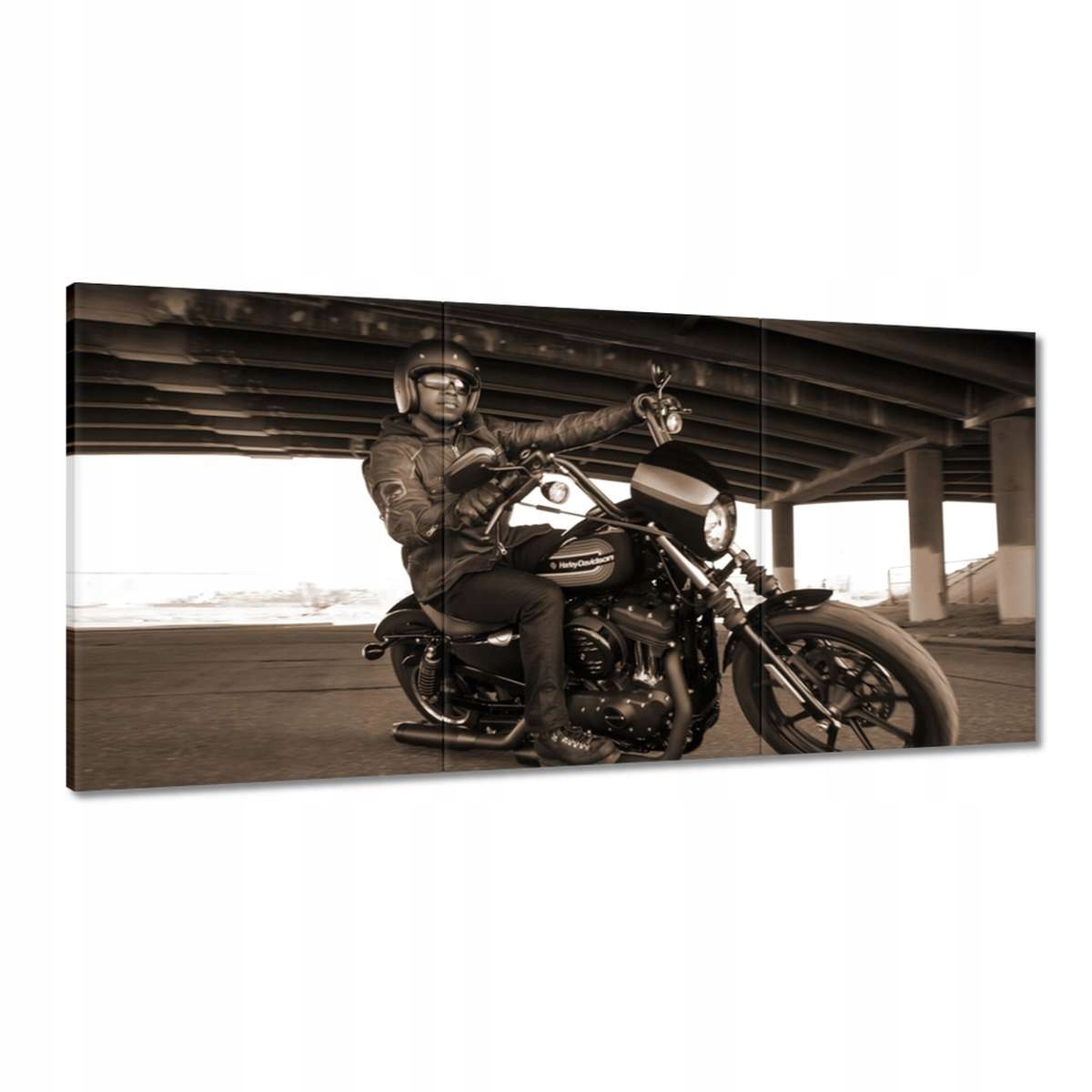 Obrazy 180x90 Harley Davidson Motocykel