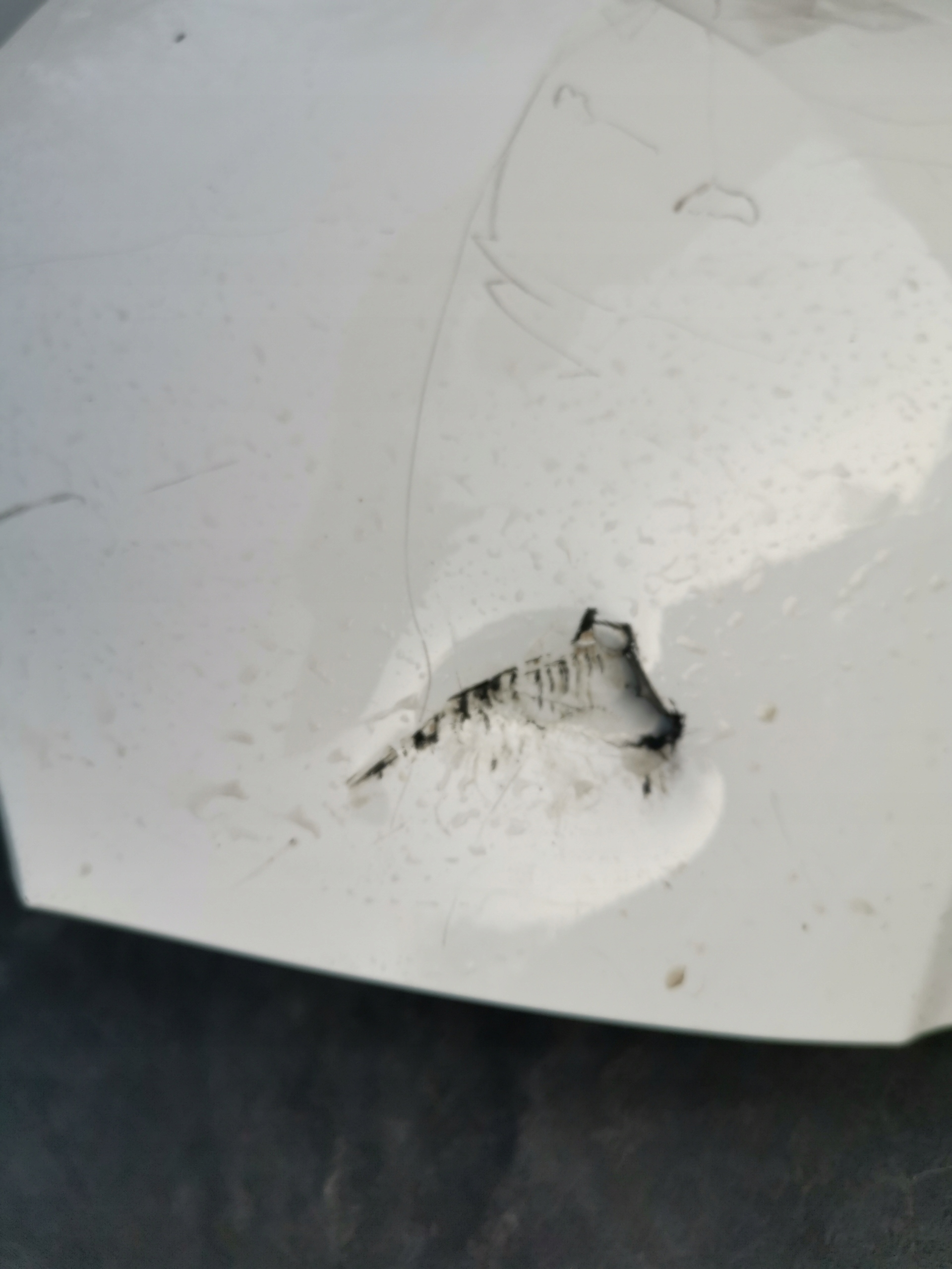 lökhárító hátsó far HYUNDAI I10 III