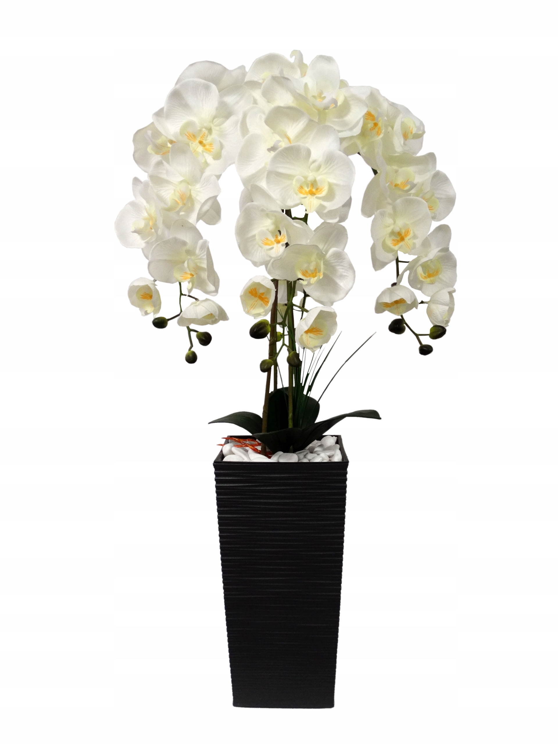 

Storczyk Sztuczny Storczyki Kwiat Orchidea