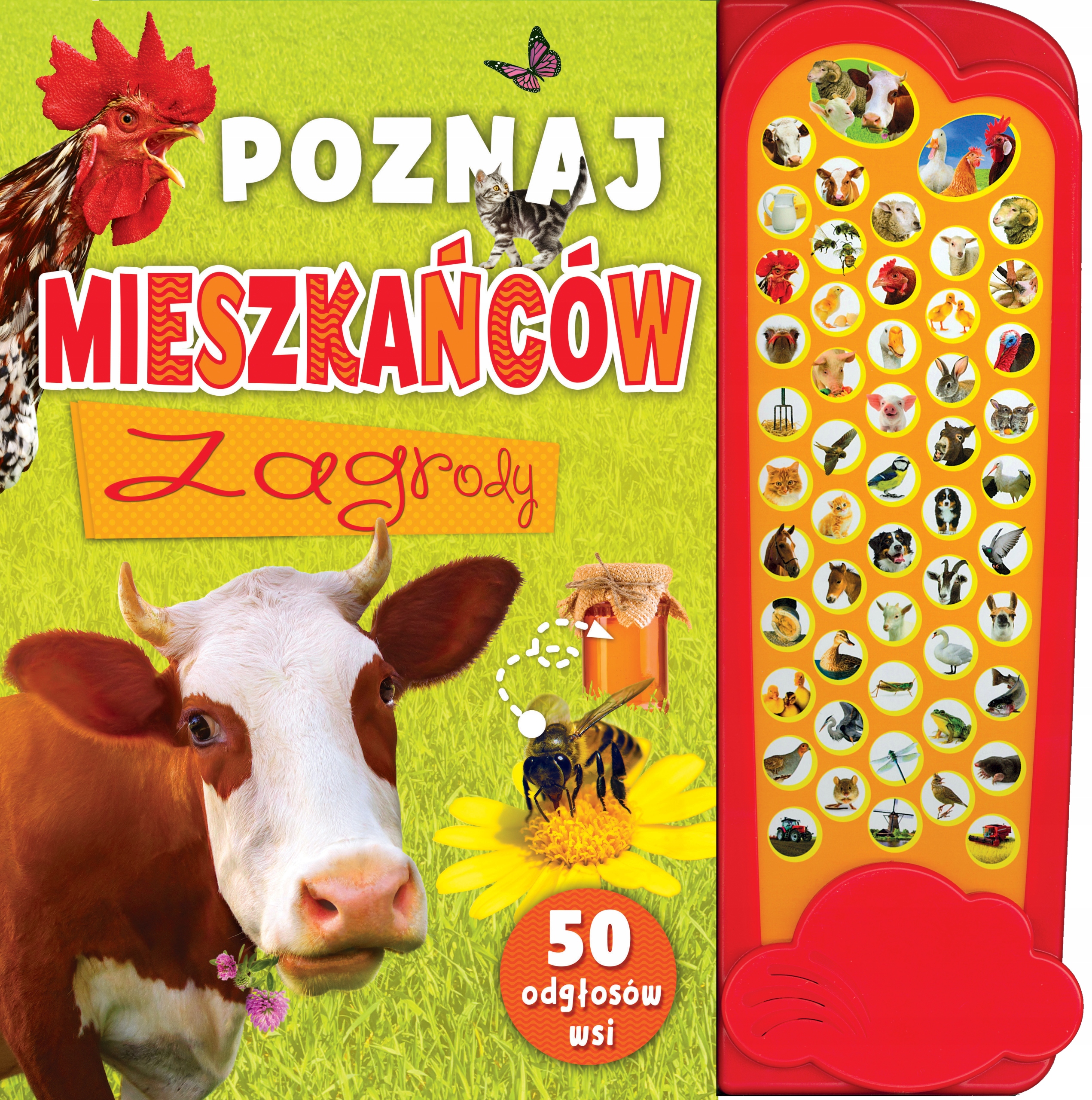 

Poznaj mieszkańców zagrody (książeczka dźwiękowa)