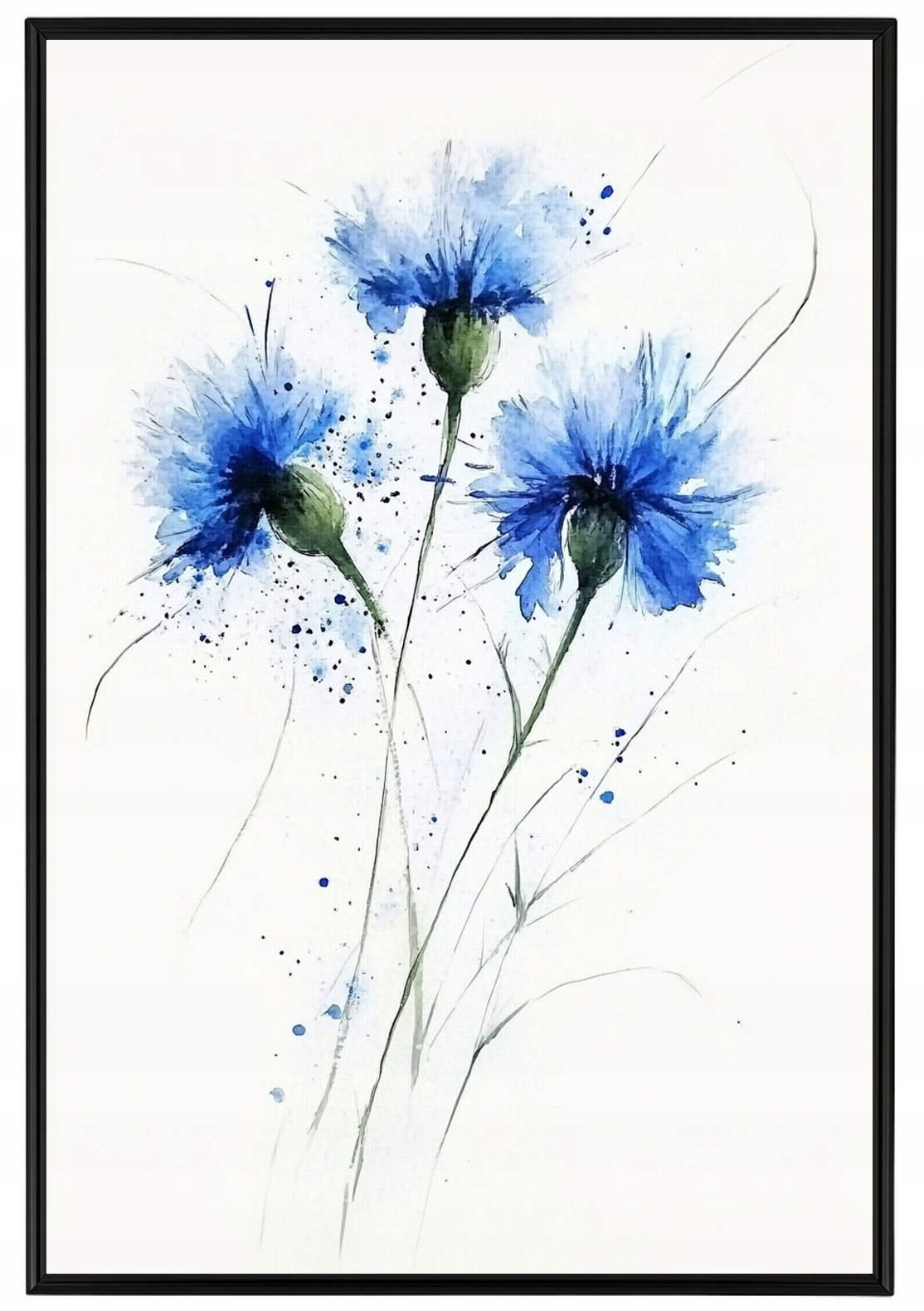 Plakát Rámeček Na Plakát, Akvarel, Příroda, Polní Chrpa Kukuřice, Chrpa, 40x60