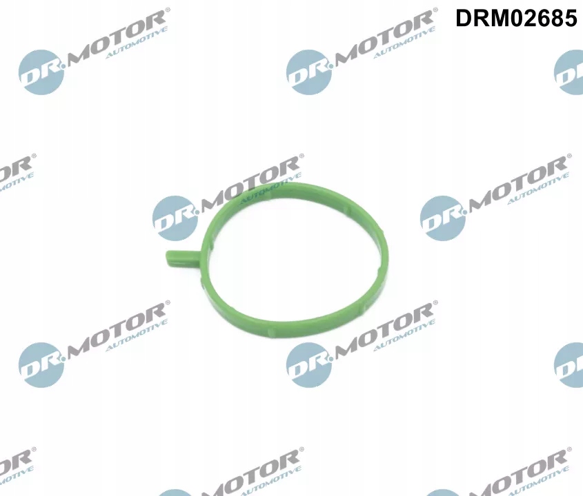 USZCZELKA DOLOTU - DR.MOTOR DRM02685