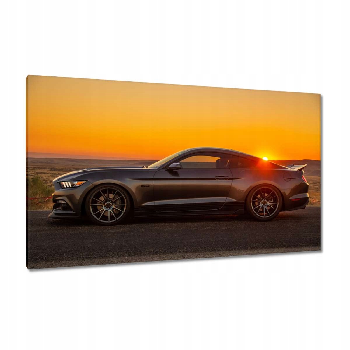 Obrazy 120x70 Ford Mustang vyrobené v Usa