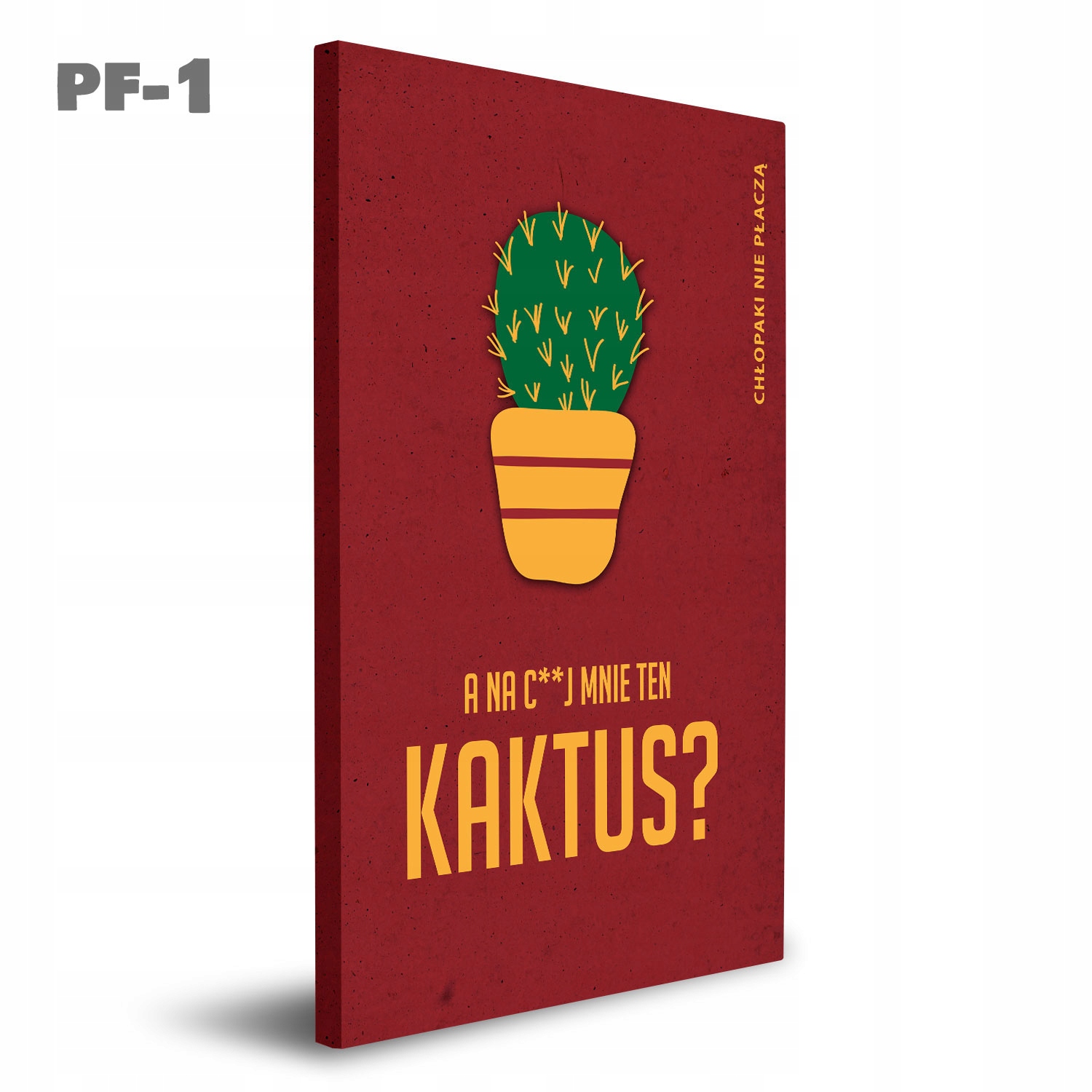 Obraz Akustyczny na płótnie FILMY -6 WZORÓW