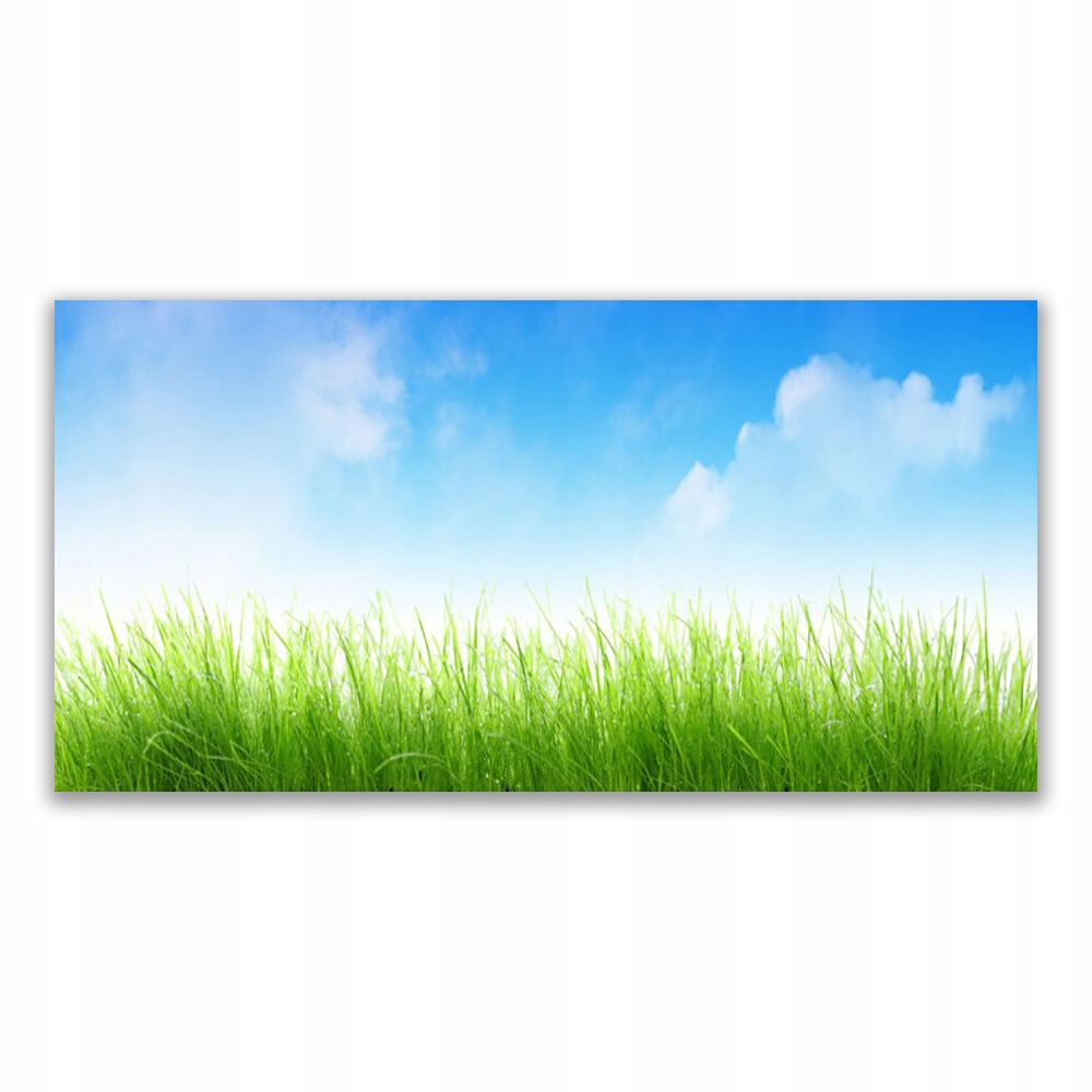 

Fotoobraz na prezent 120x60 Trawa Natura Roślina