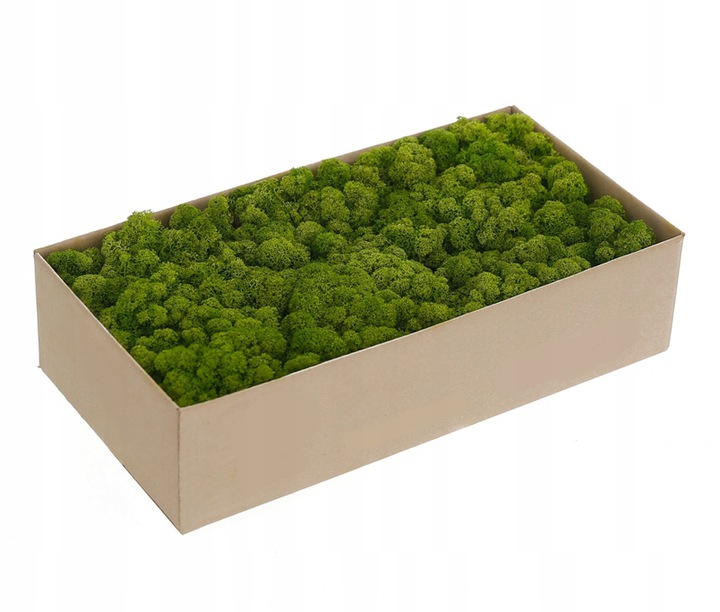 MECH CHROBOTEK OZDOBNY JASNOZIELONY DO STROIKÓW RENIFEROWY FIŃSKI DEKORACJA Marka inny