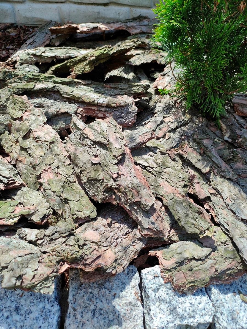 KORA SOSNOWA OGRODOWA WOREK 20L GRUBA Pojemność 20 l