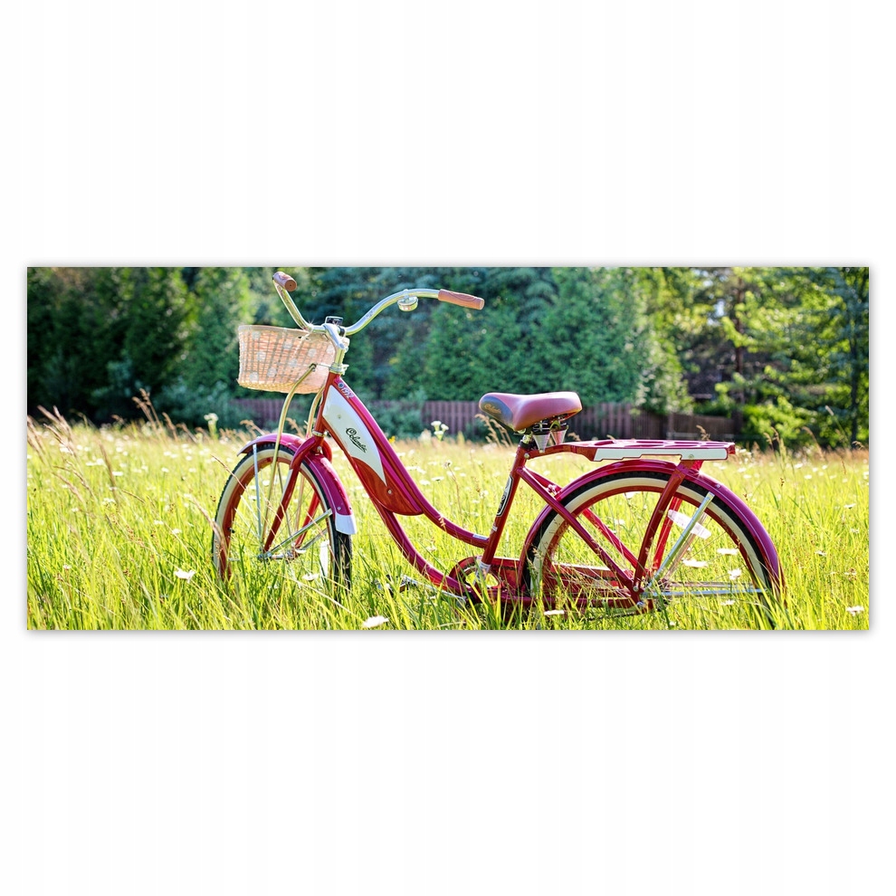 

Fototapety flizelina 211x91 Rowery Rowerki