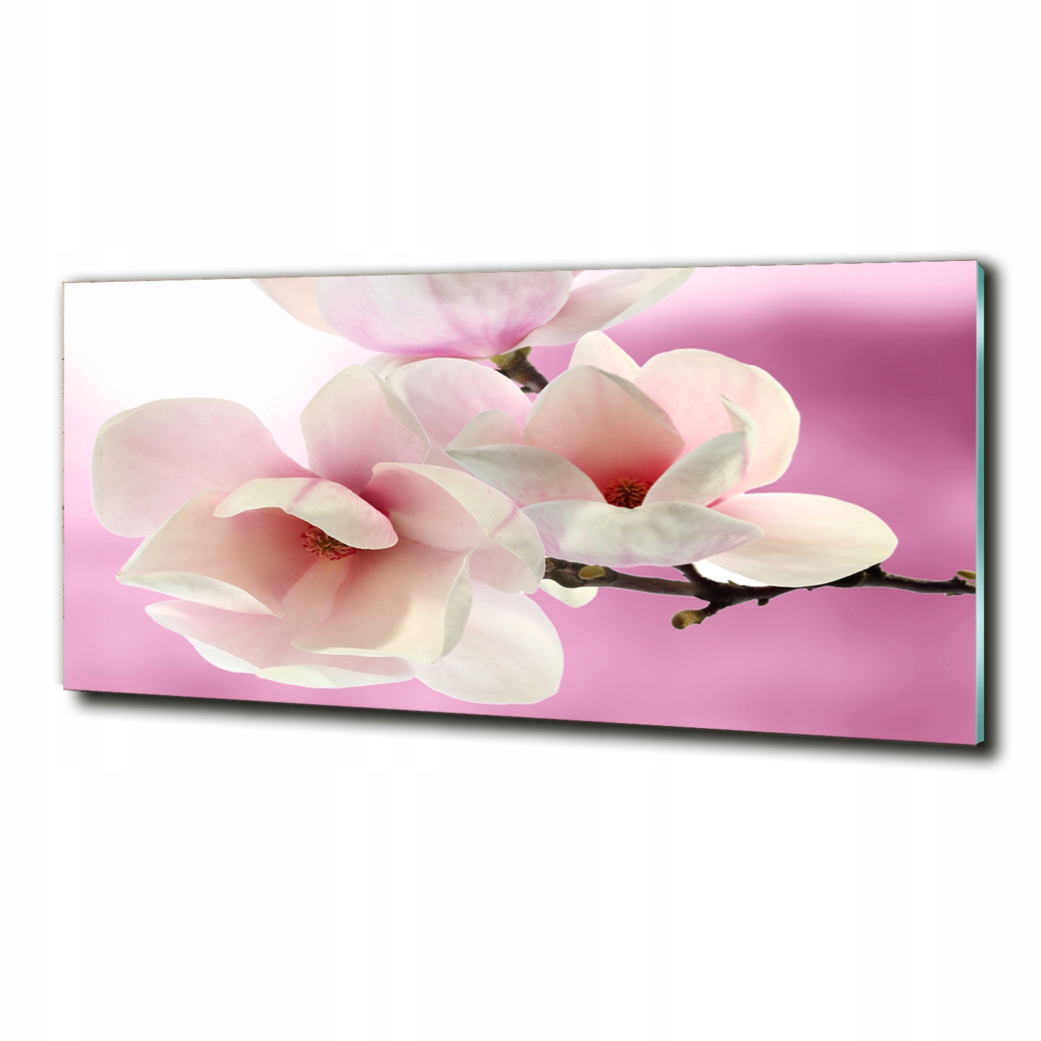 Skleněný fotoobraz na zeď Magnolie 125x50