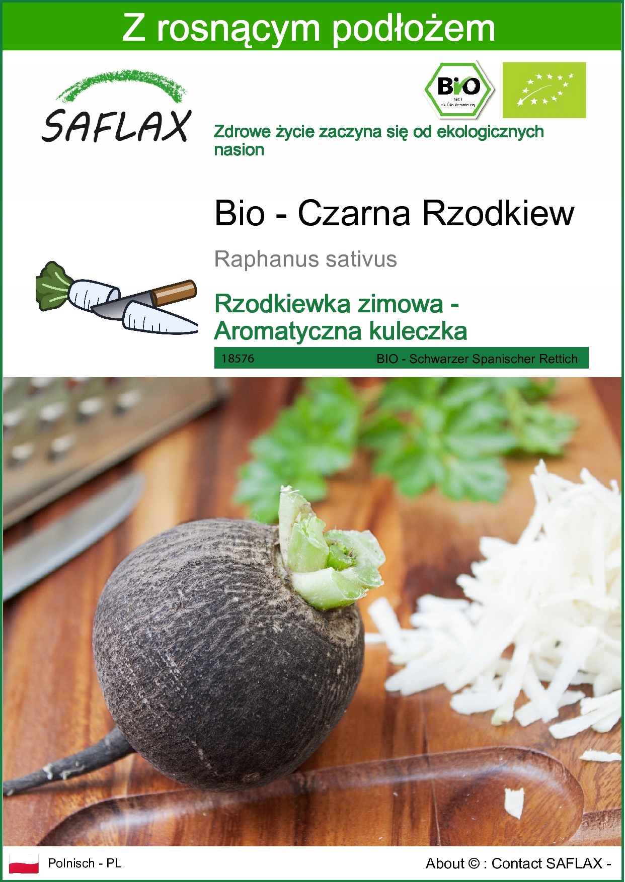 SAFLAX - Rzodkiew - Czarna - 100 Nasiona - Z podłożem - Raphanus