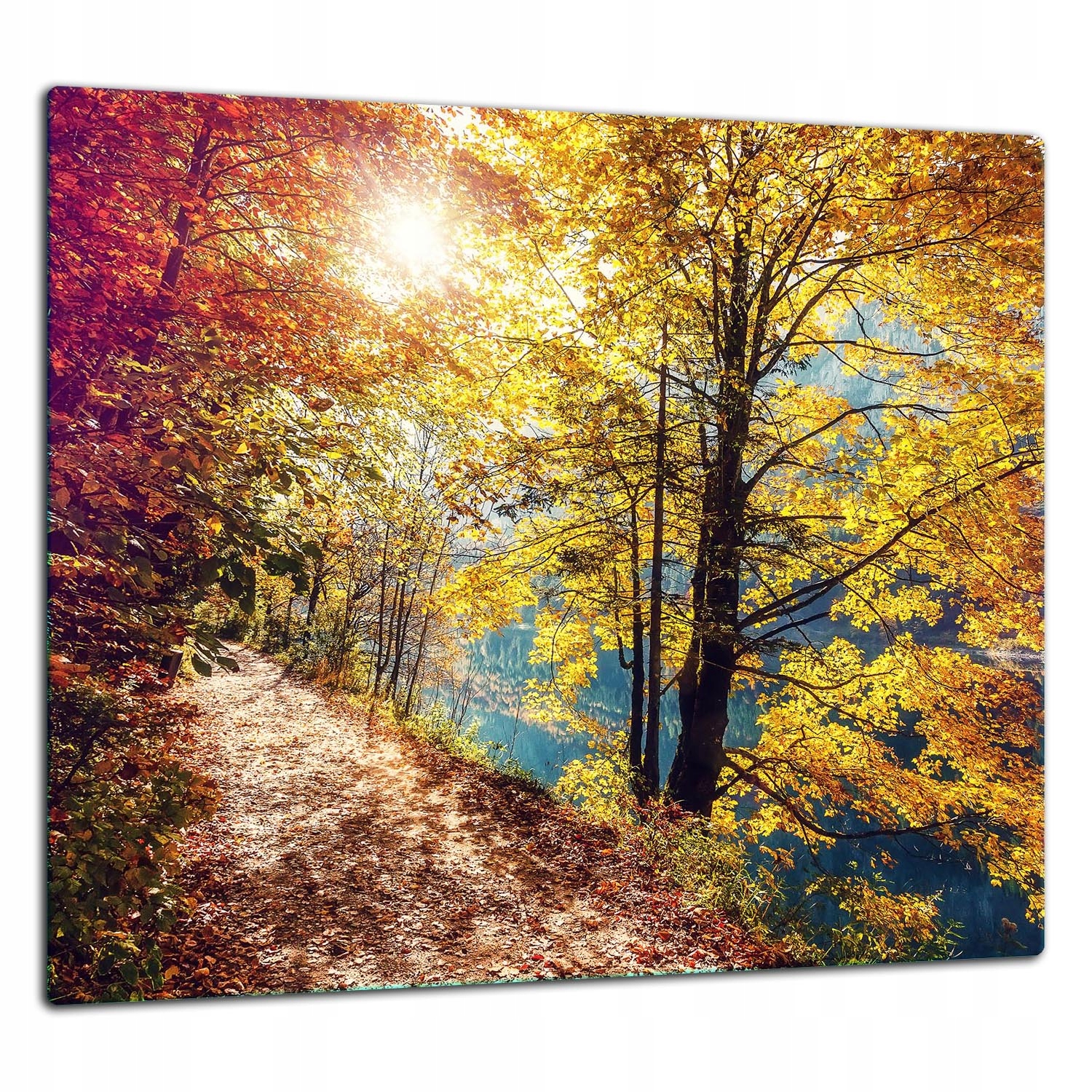 7v1 Skleněná Ochranná Deska Panel Lepidlo 65x60 Krajina