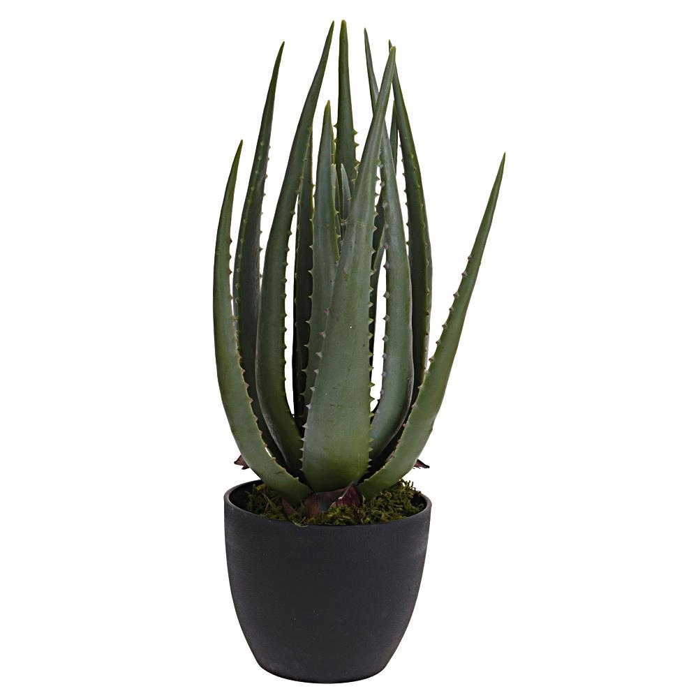Umělá pokojová rostlina Aloe velké listy 45 cm Jako živá do obývacího pokoje Terasa