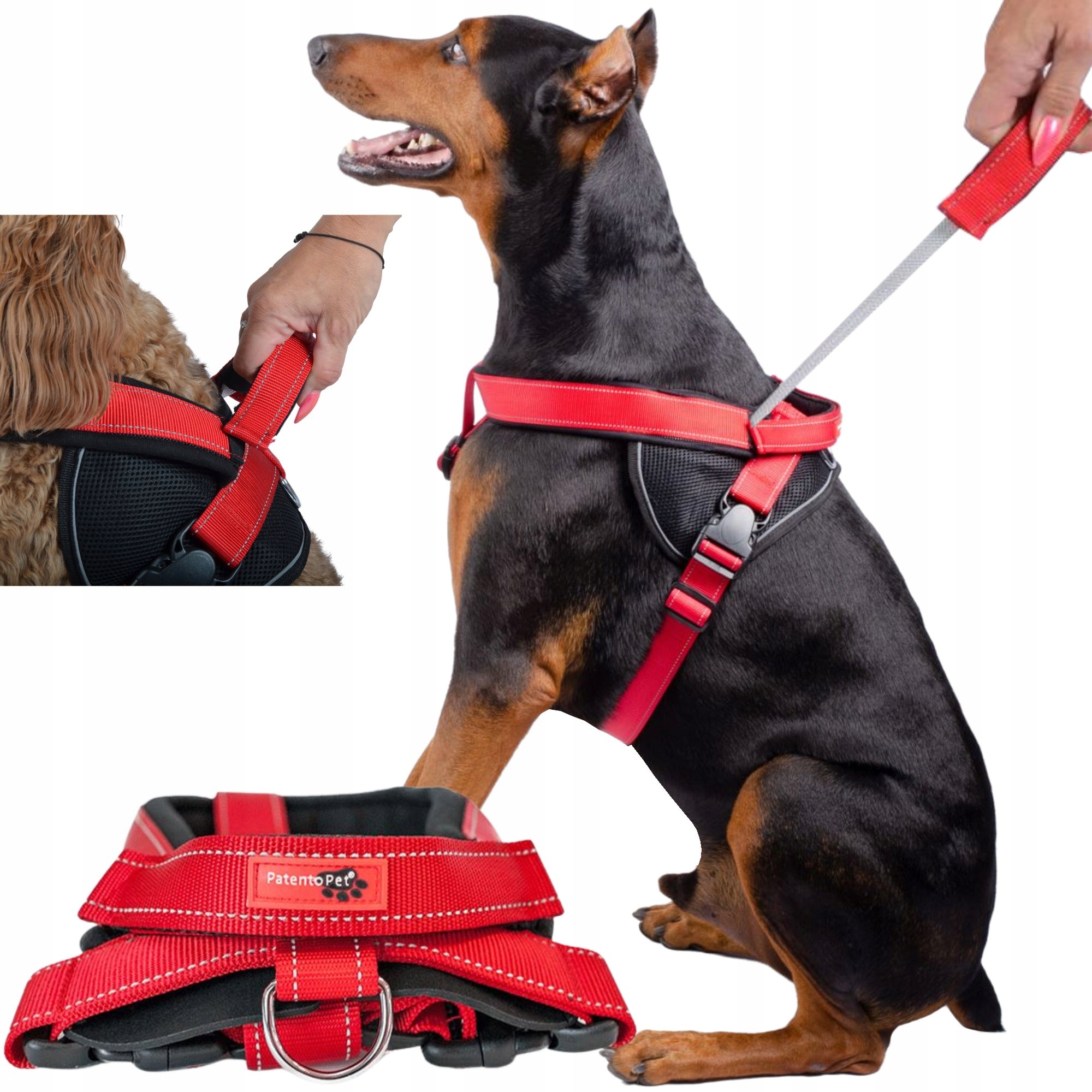 

Mocne Szelki bezuciskowe dużego psa Easy-walk L