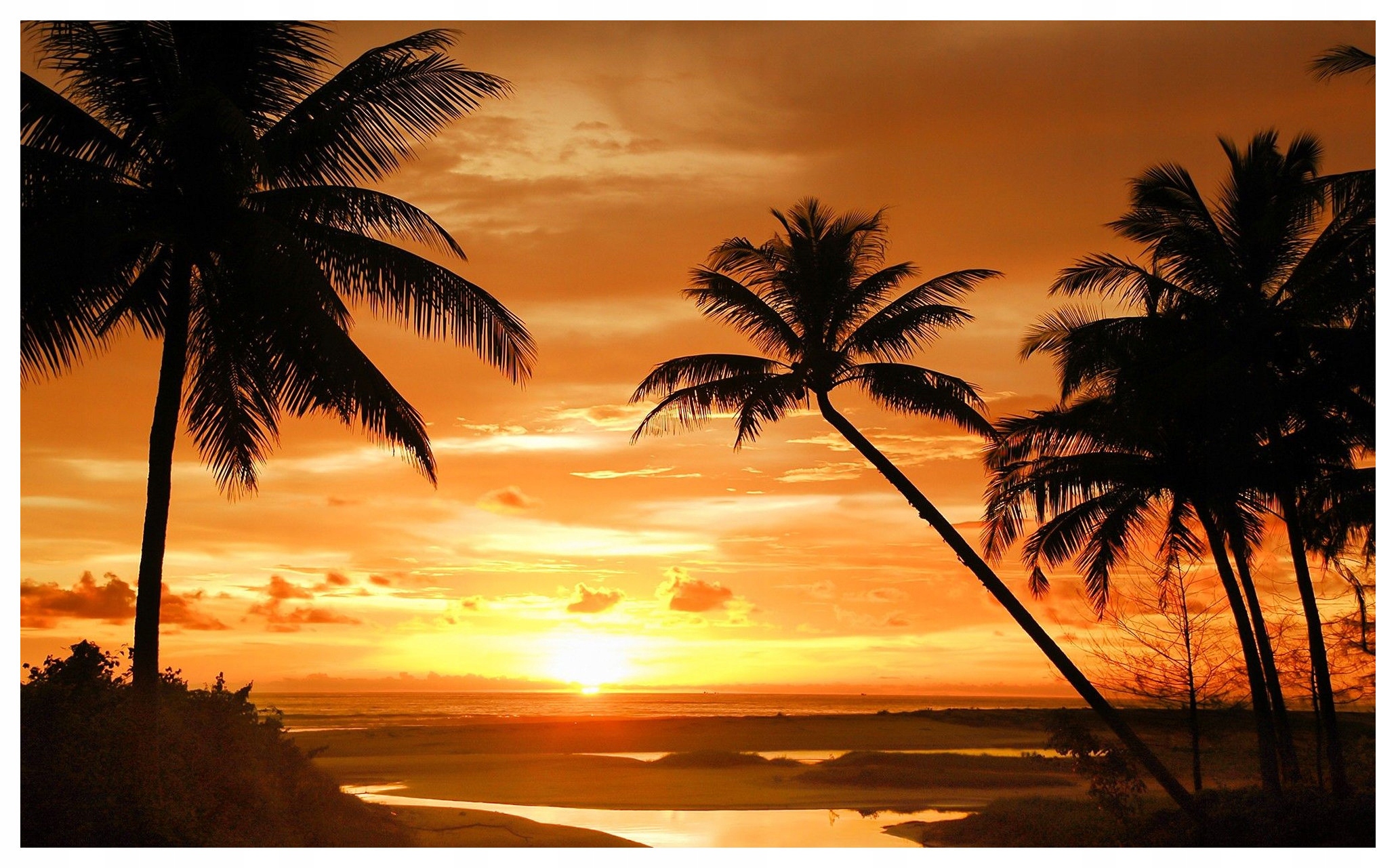 Fototapeta Západ slunce Palmy Oceán vinylová 416x254 lepidlo