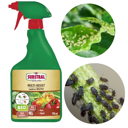 

Substral Naturalny Środek Na Mszyce Mączlik 750ML