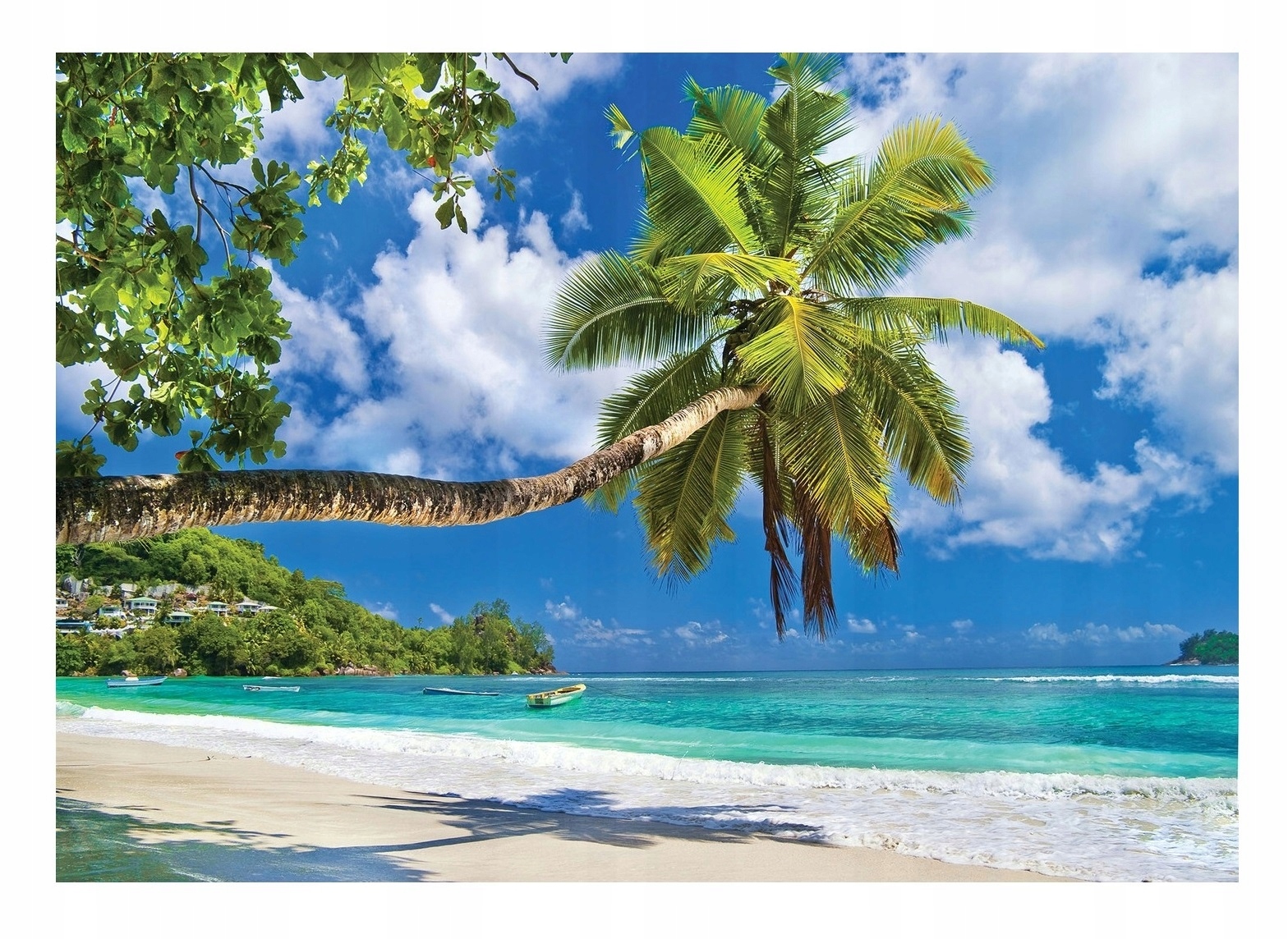 

Fototapeta Plaża Morze Palmy Krajobraz 3D 368x254