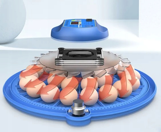 INKUBATOR 26 JAJ Automatyczne Podanie Wody 230/12V Akcesoria Marka inny