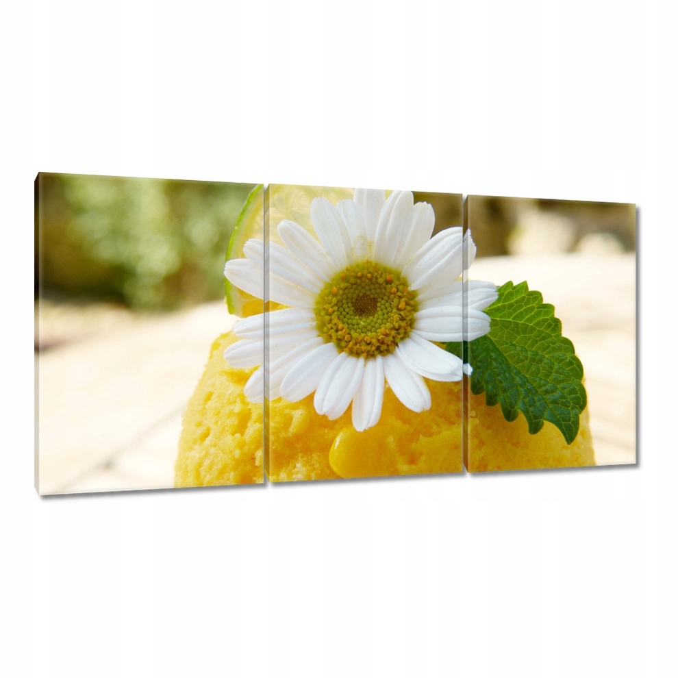 

Obrazy 120x60 Owocowe Lody morelowe