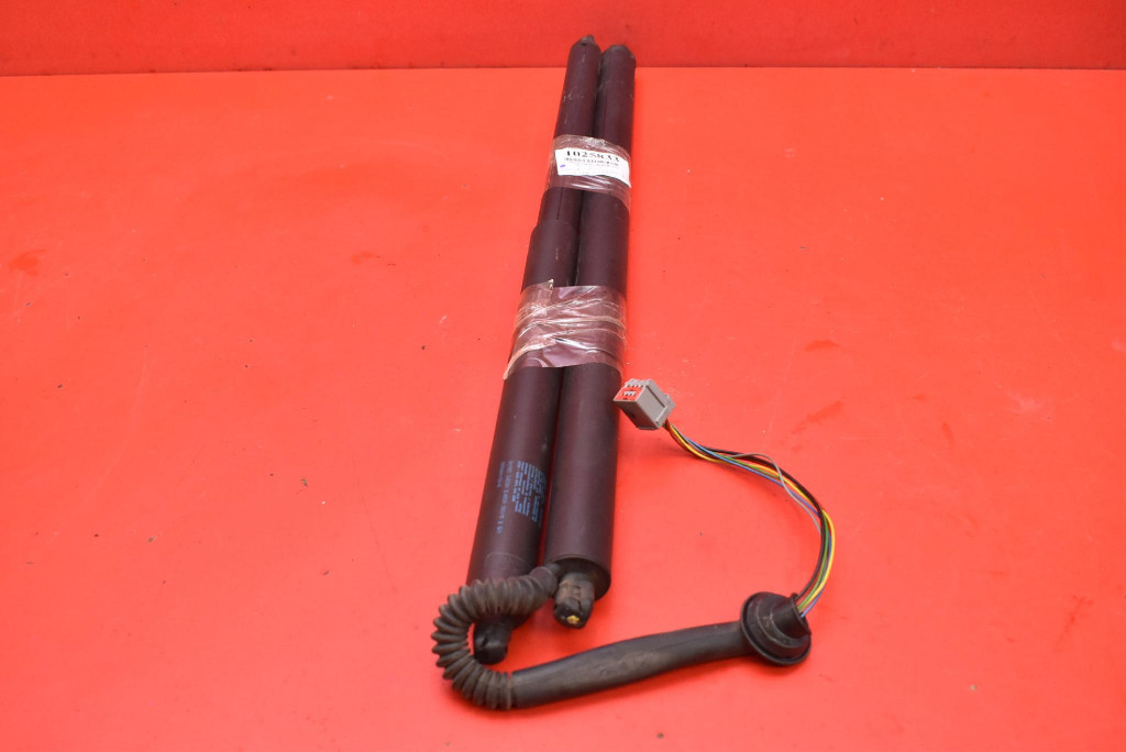 damper SILOWNIKI bonnet 6006611-00B TESLA MODEL S 12-20
