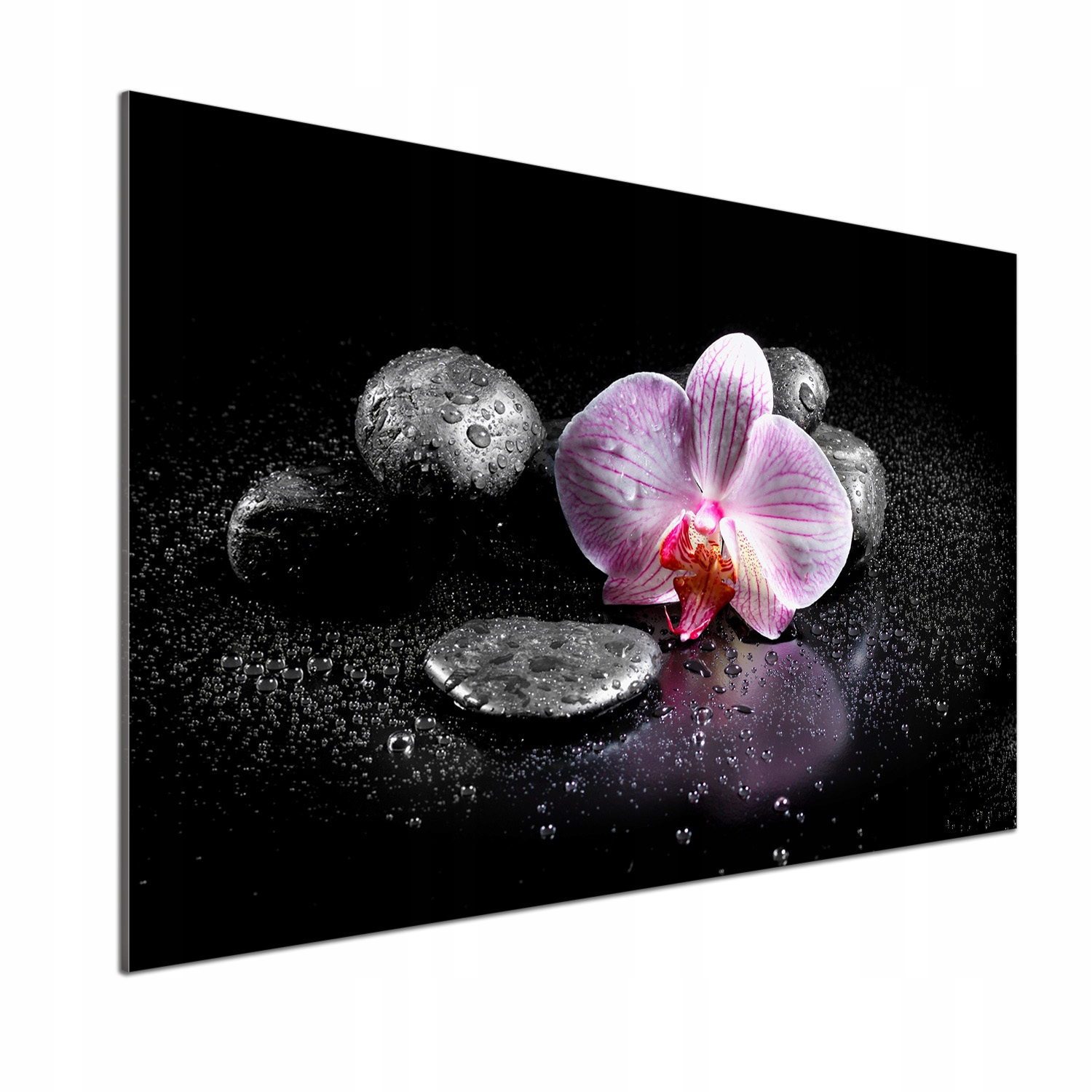 Panel medzi nábytkom v kuchyni Orchidea 100x70 Lepidlo